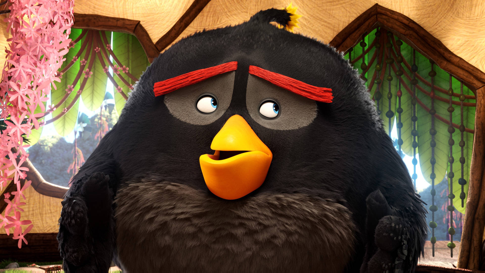鳥 桌布 壁紙 — 熱帶小屋內黑色Angry Bird的特寫，有紅色眉毛和黃色喙。