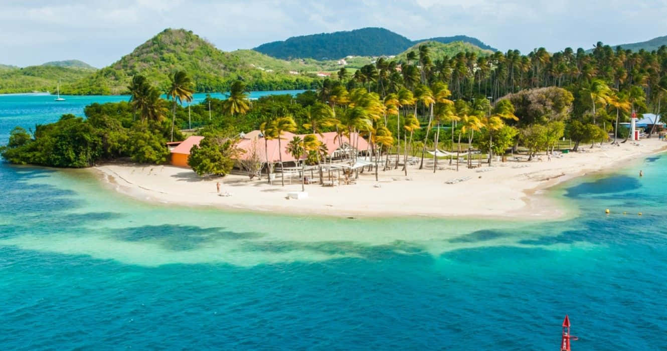 Caribbean Island 桌布 壁紙 — 熱帶島嶼的鳥瞰圖，有白色沙灘、棕櫚樹、碧綠海水和背景中的綠色山丘。