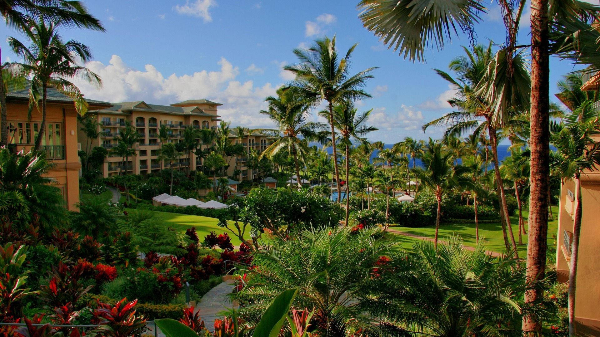 Hotel 桌布 壁紙 — 熱帶度假村建築隱藏在棕櫚樹和茂密綠植之中，在明亮的藍天和零星白雲下。