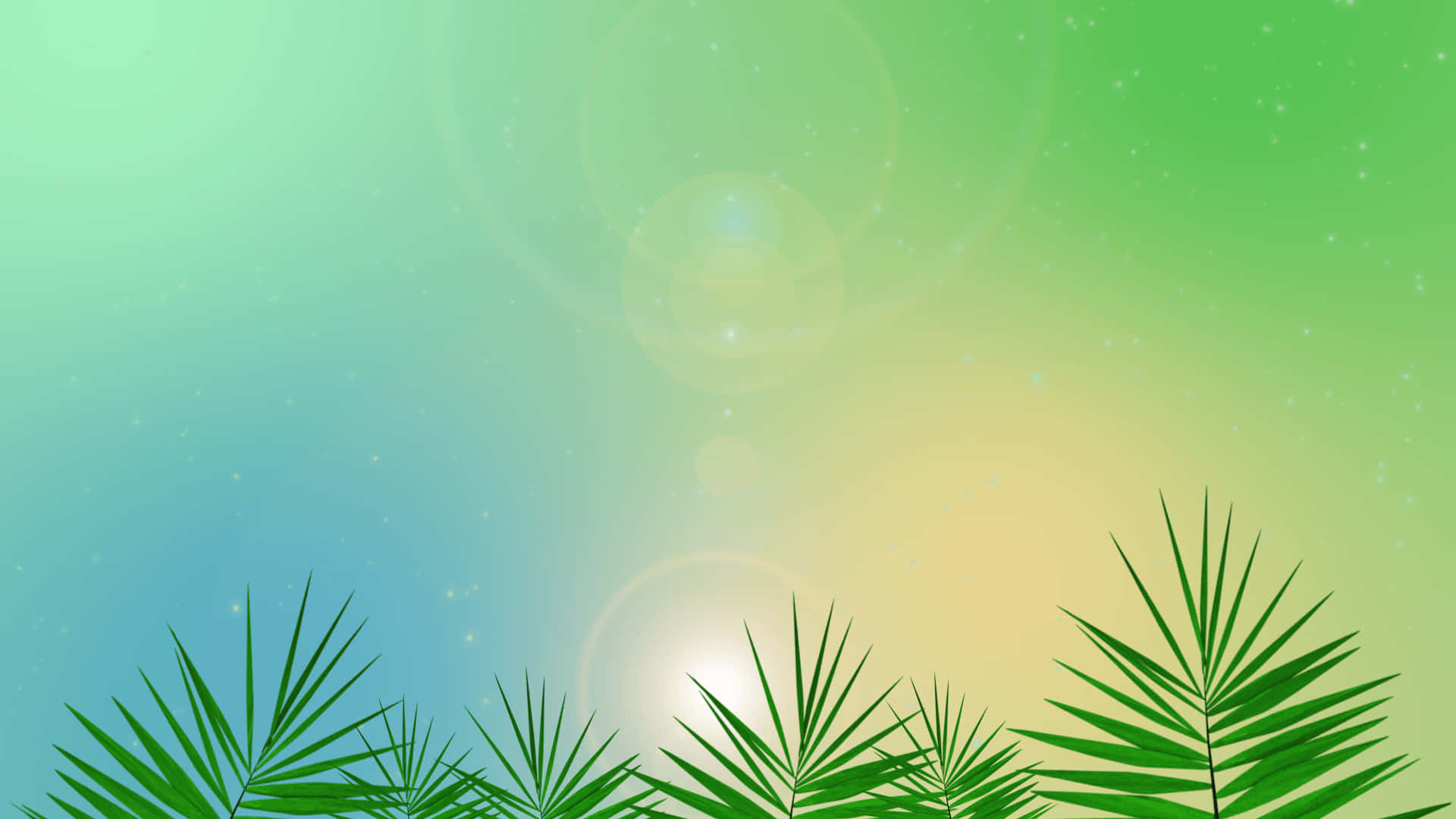 Palm Leaves 桌布 壁紙 — 熱帶日出時，在剪影棕櫚葉上方帶有鏡頭光暈的鮮豔漸變天空。