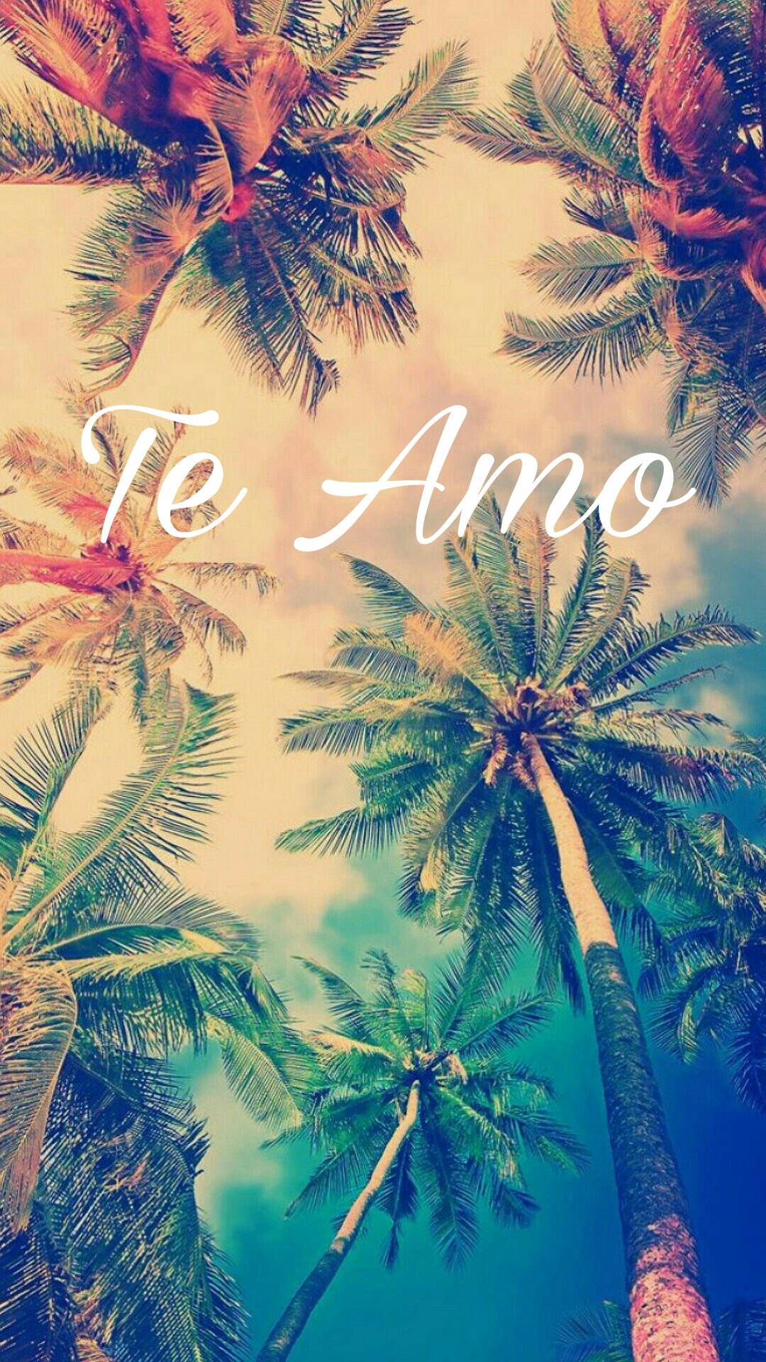 Te Amo 桌布 壁紙 — 熱帶棕櫚樹在夢幻般的天空上拱起，上面有白色的「Te Amo」字樣。