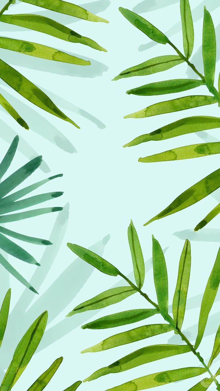 Plants iPhone 桌布 壁紙 — 熱帶棕櫚葉以水彩風格框住淺藍色背景，帶有柔和陰影。