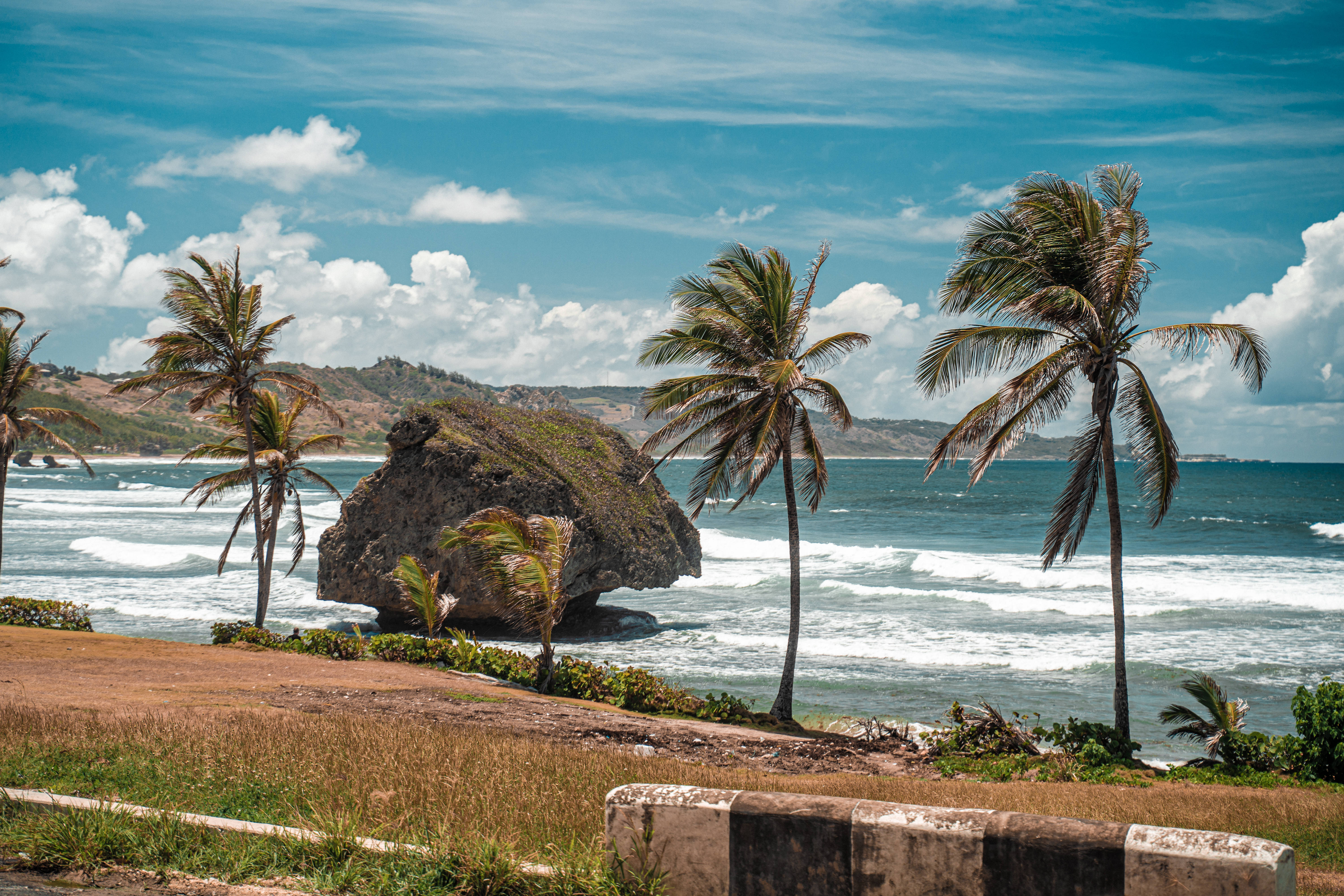 Barbados 桌布 壁紙 — 熱帶海岸線，棕櫚樹在大型岩石形成附近搖曳，海浪在明亮的藍天和蓬鬆的雲朵下拍打。