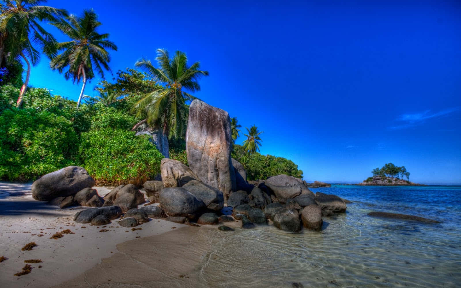 Beach Scene 桌布 壁紙 — 熱帶海灘，有棕櫚樹和巨石，在鮮豔的藍天下，清澈的碧綠海水。