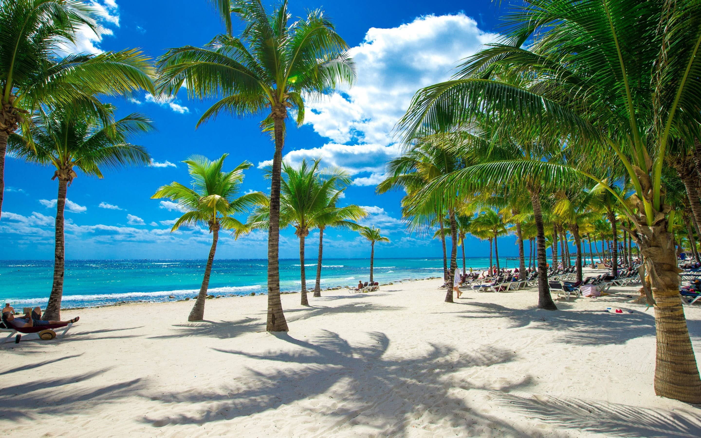 White Beach 桌布 壁紙 — 熱帶海灘，有白色沙灘、棕櫚樹和碧綠的海洋，在明亮的藍天下有蓬鬆的雲朵。