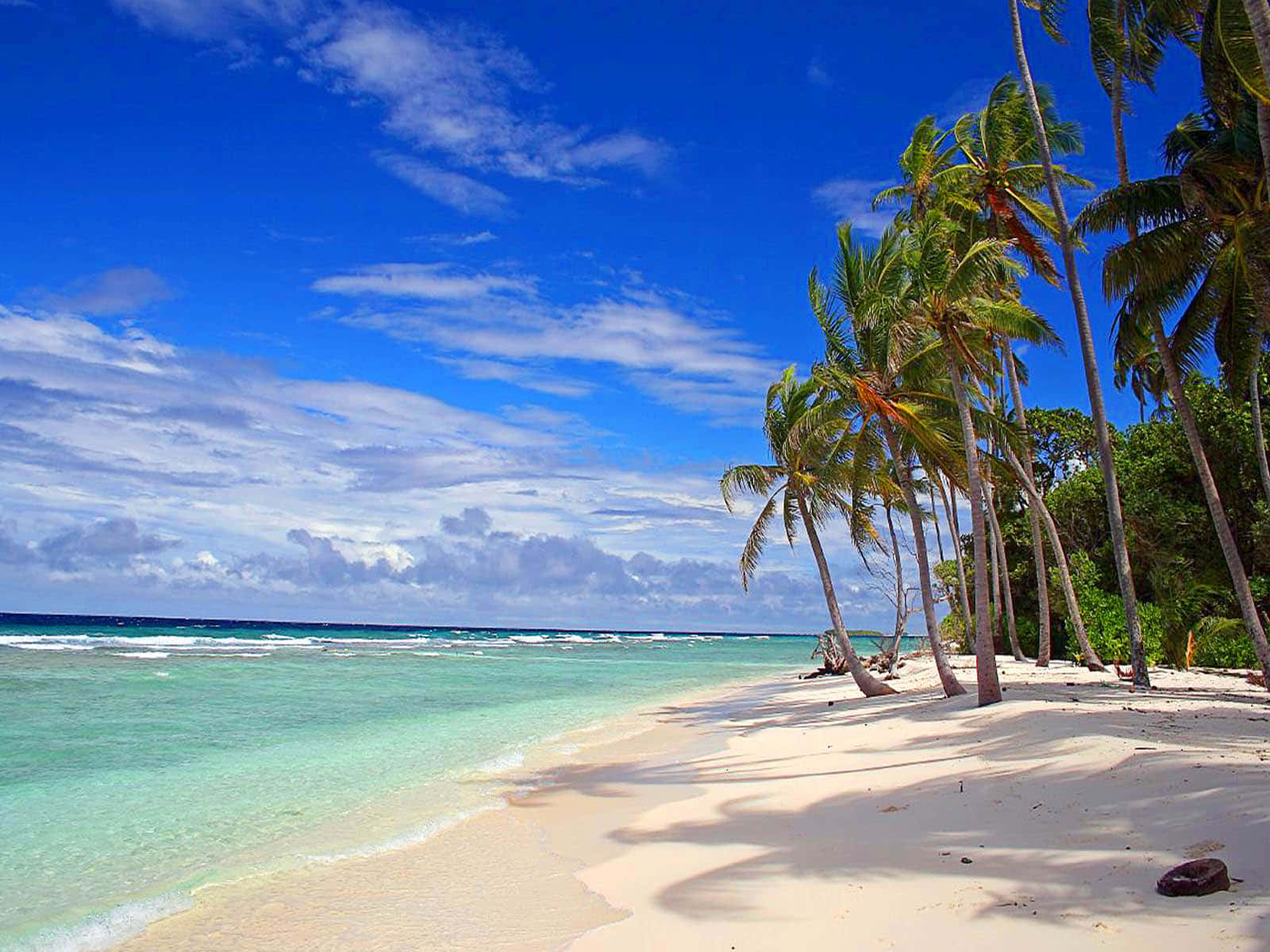 Palm Trees Beach 桌布 壁紙 — 熱帶海灘，有白色沙灘、碧綠海水和棕櫚樹，在明亮的藍天白雲下搖曳。