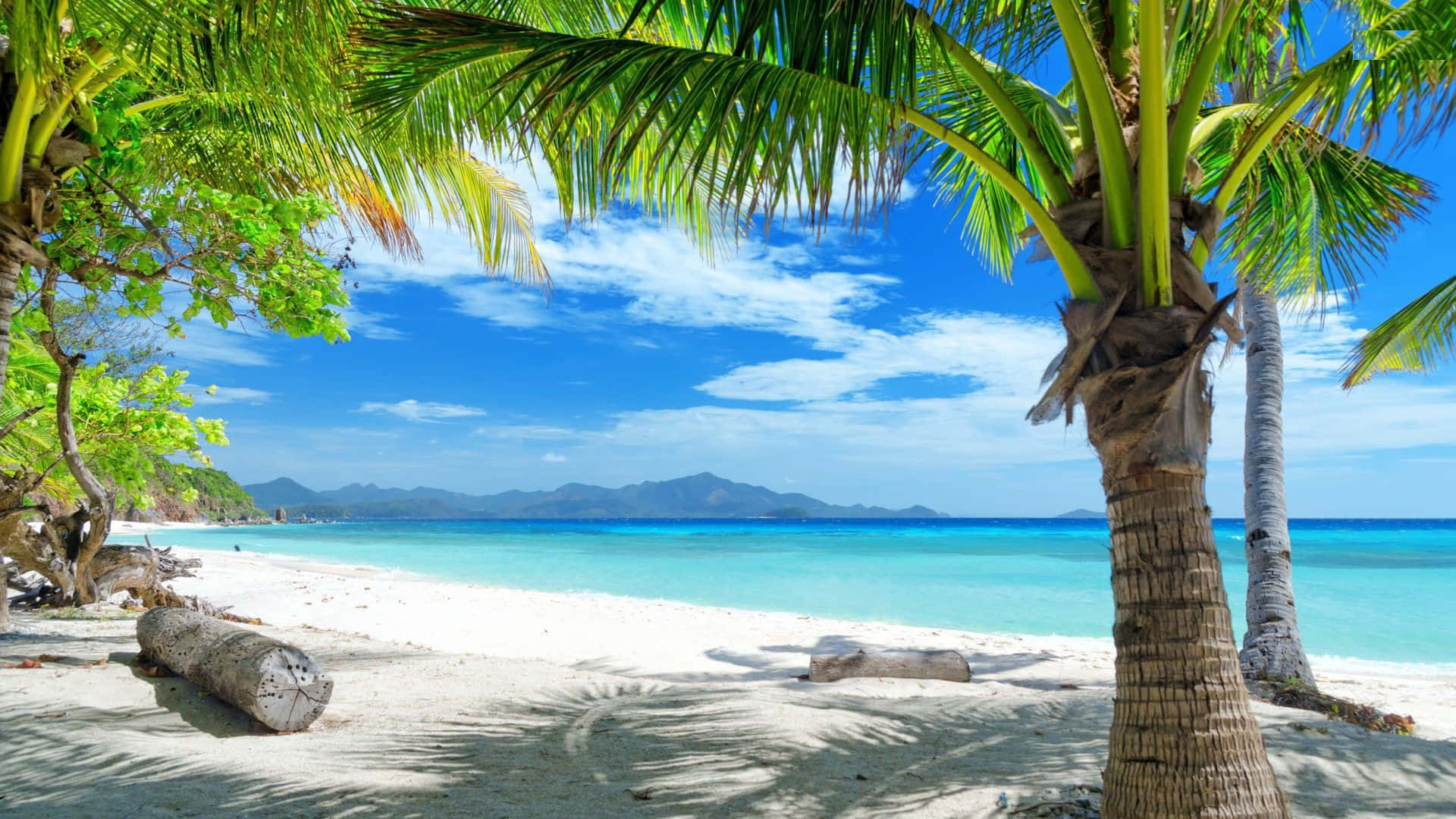 Tropical Beach 桌布 壁紙 — 熱帶海灘，有白色沙灘、碧綠海水和棕櫚樹，在明亮的藍天下有零星雲朵。