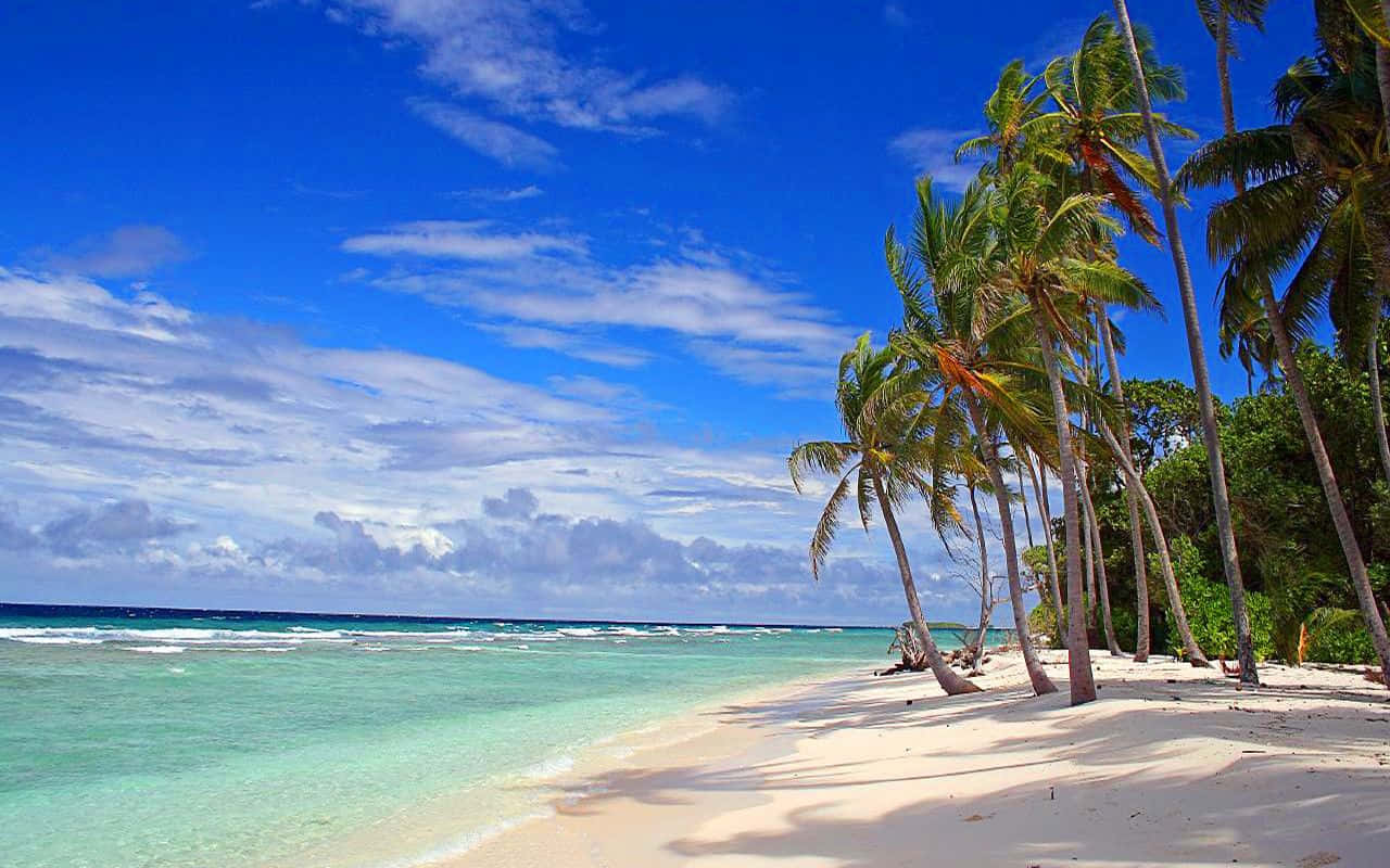 Kiribati 桌布 壁紙 — 熱帶海灘，有白色沙灘、碧綠海水和棕櫚樹在明亮的藍天白雲下搖曳。