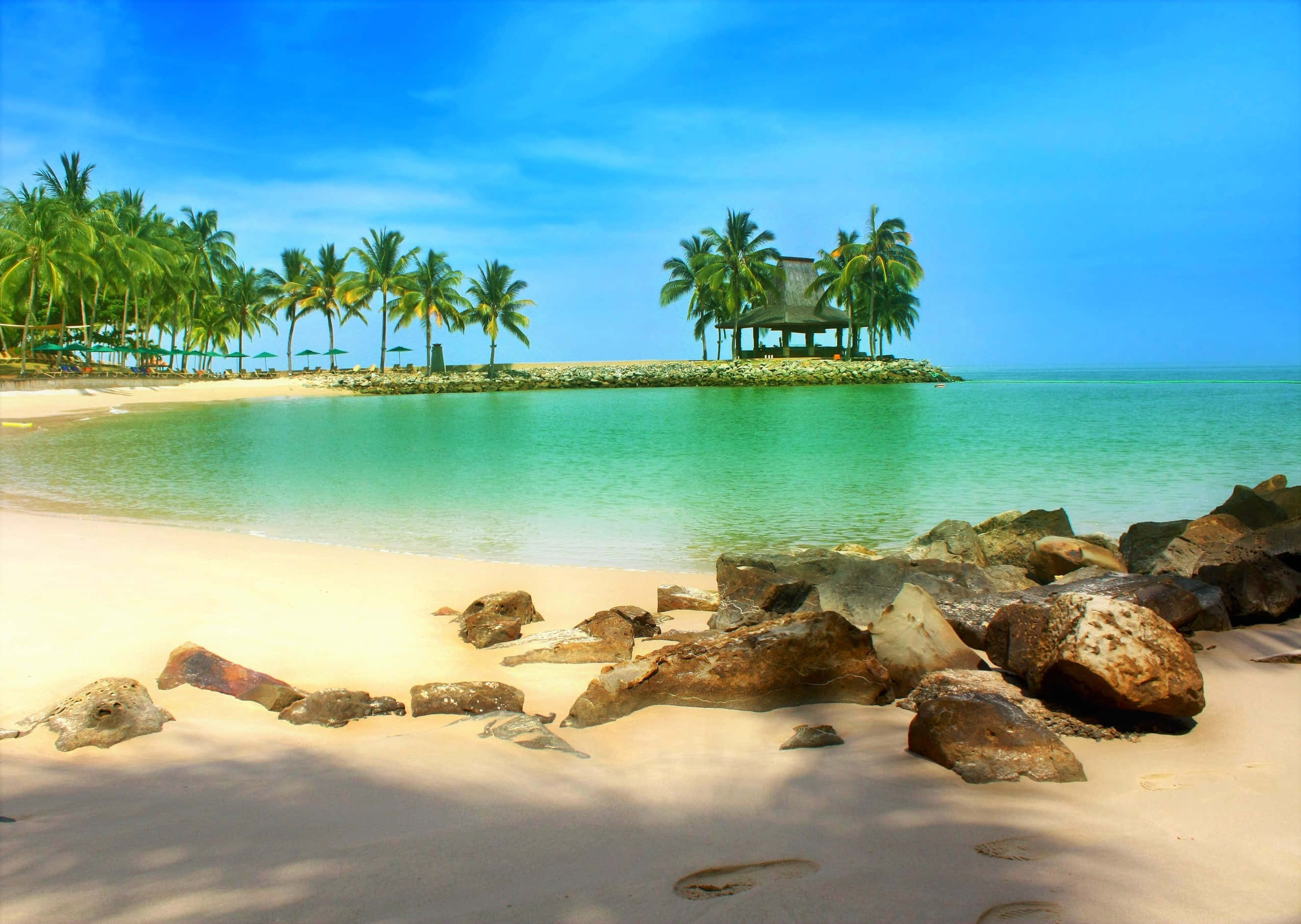 Beach Scene 桌布 壁紙 — 熱帶海灘，有碧綠海水、棕櫚樹和一個在岩石海岸上的茅草小屋，在明亮的藍天下。