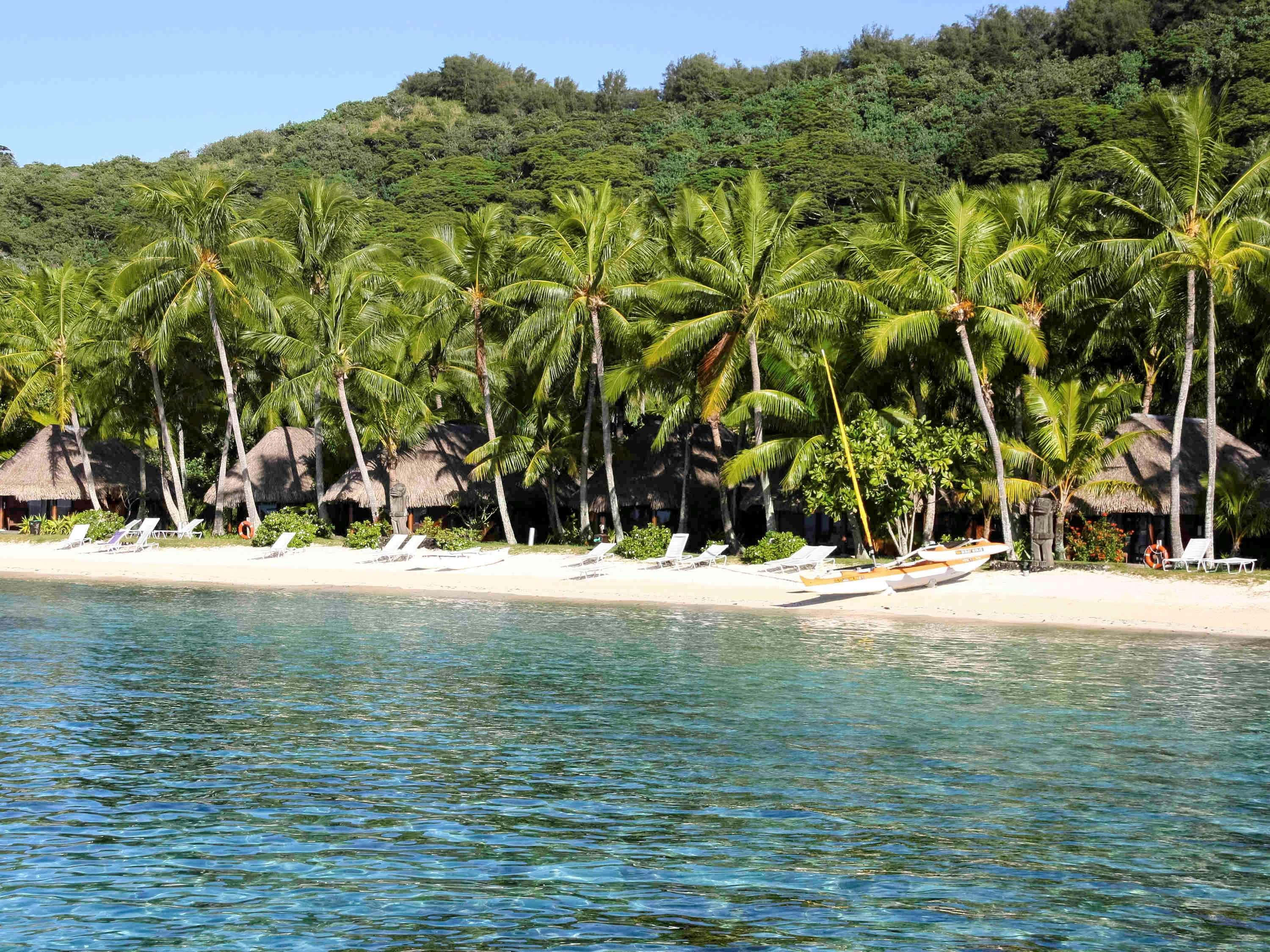 Bora Bora Beach 桌布 壁紙 — 熱帶海灘，棕櫚樹和茅草小屋沿著碧綠的海水，在明亮的藍天下。