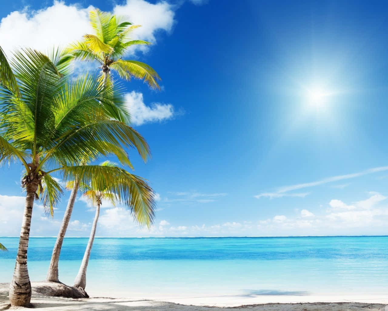 Tropical Beach 桌布 壁紙 — 熱帶海灘，棕櫚樹在明亮的陽光下搖曳，下面是碧綠的海水和白色的沙灘。