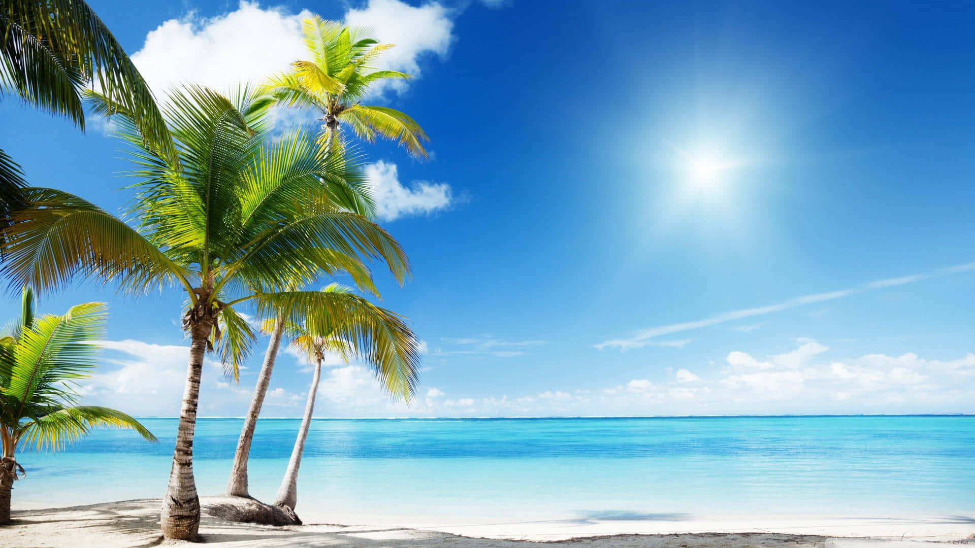Fiji Beach 桌布 壁紙 — 熱帶海灘，棕櫚樹在明亮的陽光下搖曳，下面是碧綠的海水和白色的沙灘。