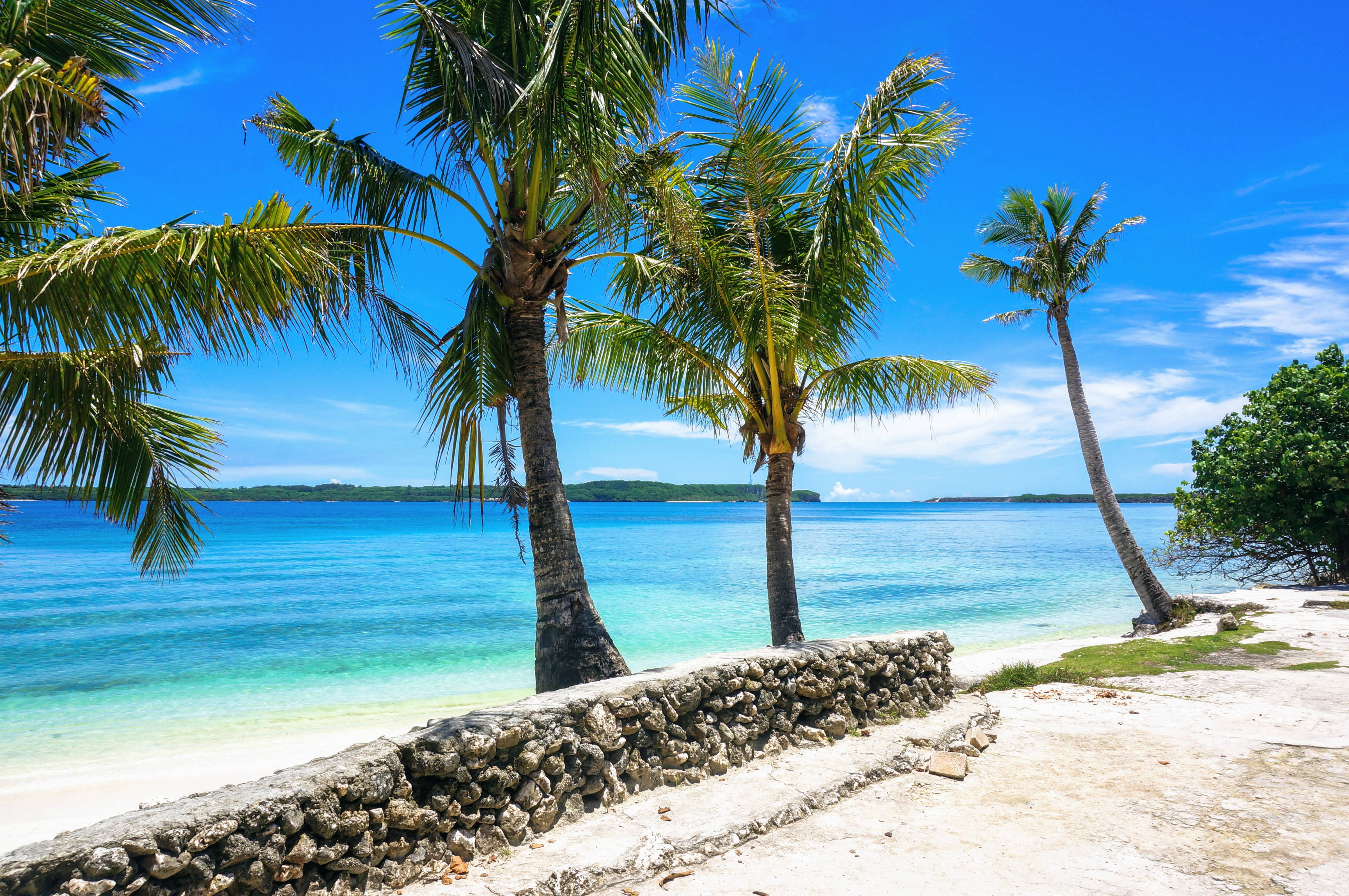 Guam 桌布 壁紙 — 熱帶海灘，棕櫚樹在湛藍天空下搖曳於碧綠海水之上。