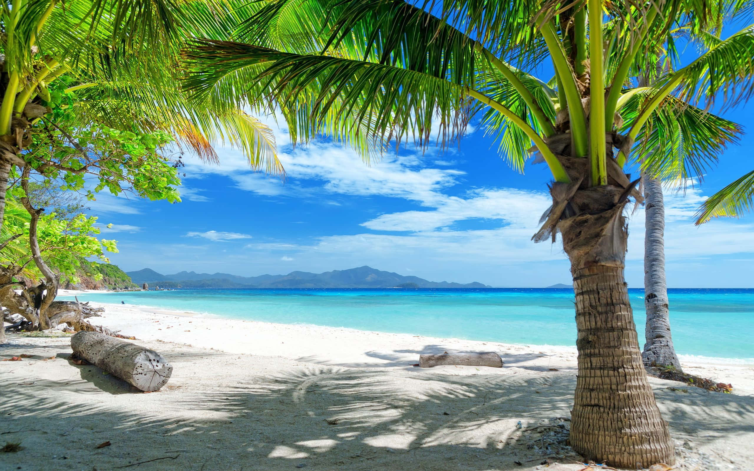 Tropical Island 桌布 壁紙 — 熱帶海灘，棕櫚樹在白色沙灘上投下陰影，上方是明亮的藍天和碧綠的海水。