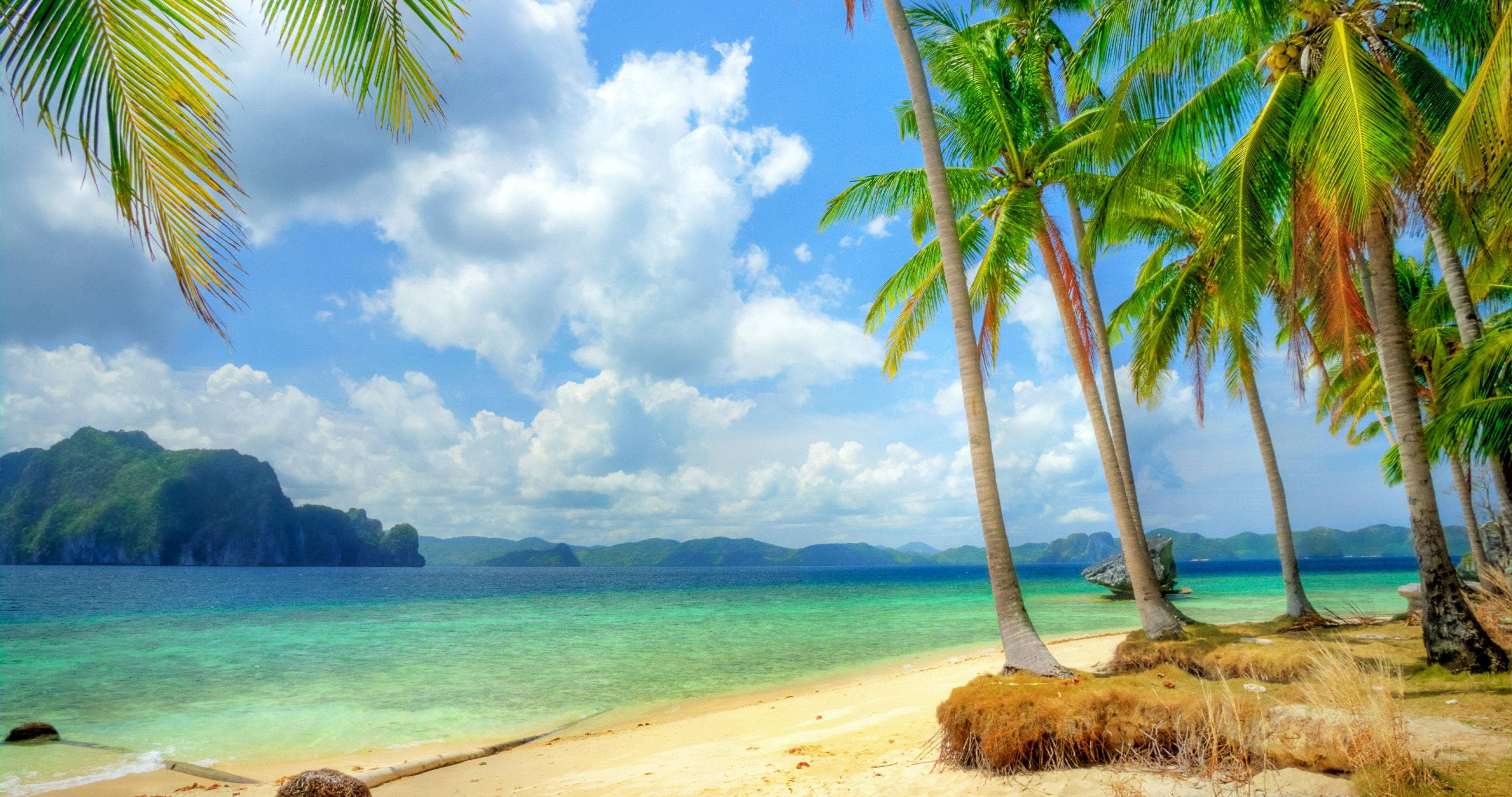 Beach Scenes Desktop 桌布 壁紙 — 熱帶海灘，棕櫚樹在碧綠的海水和遠處的綠色島嶼上搖曳，天空湛藍，白雲朵朵。