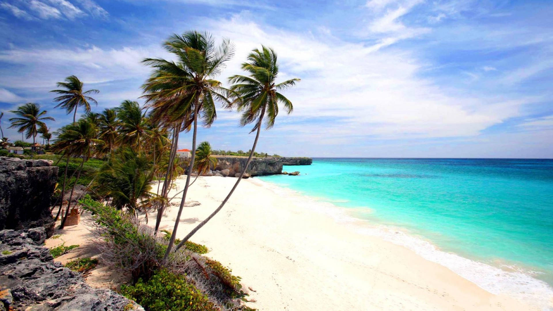 Barbados 桌布 壁紙 — 熱帶海灘，白色沙灘、碧綠海水、傾斜的棕櫚樹，在明亮的藍天下。
