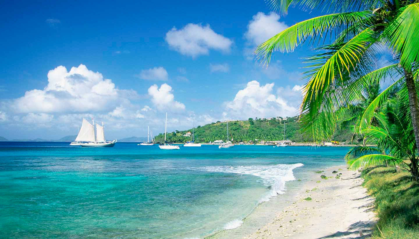 St Vincent And The Grenadines 桌布 壁紙 — 熱帶海灘，碧綠海水、帆船和茂密的綠色棕櫚樹，在明亮的藍天白雲下。