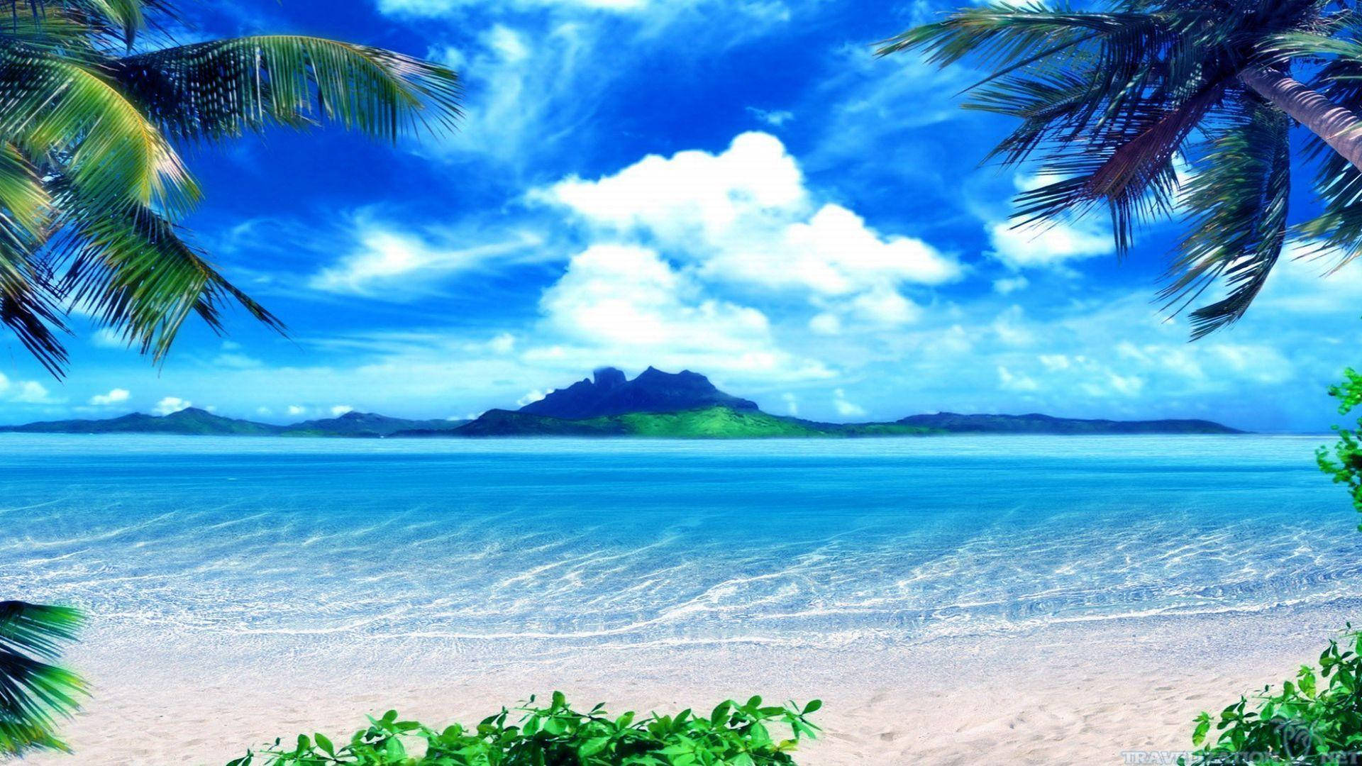 Bahamas 桌布 壁紙 — 熱帶海灘，碧綠海水，輕柔海浪，白沙被棕櫚葉框住，在明亮藍天和 fluffy 雲朵下。