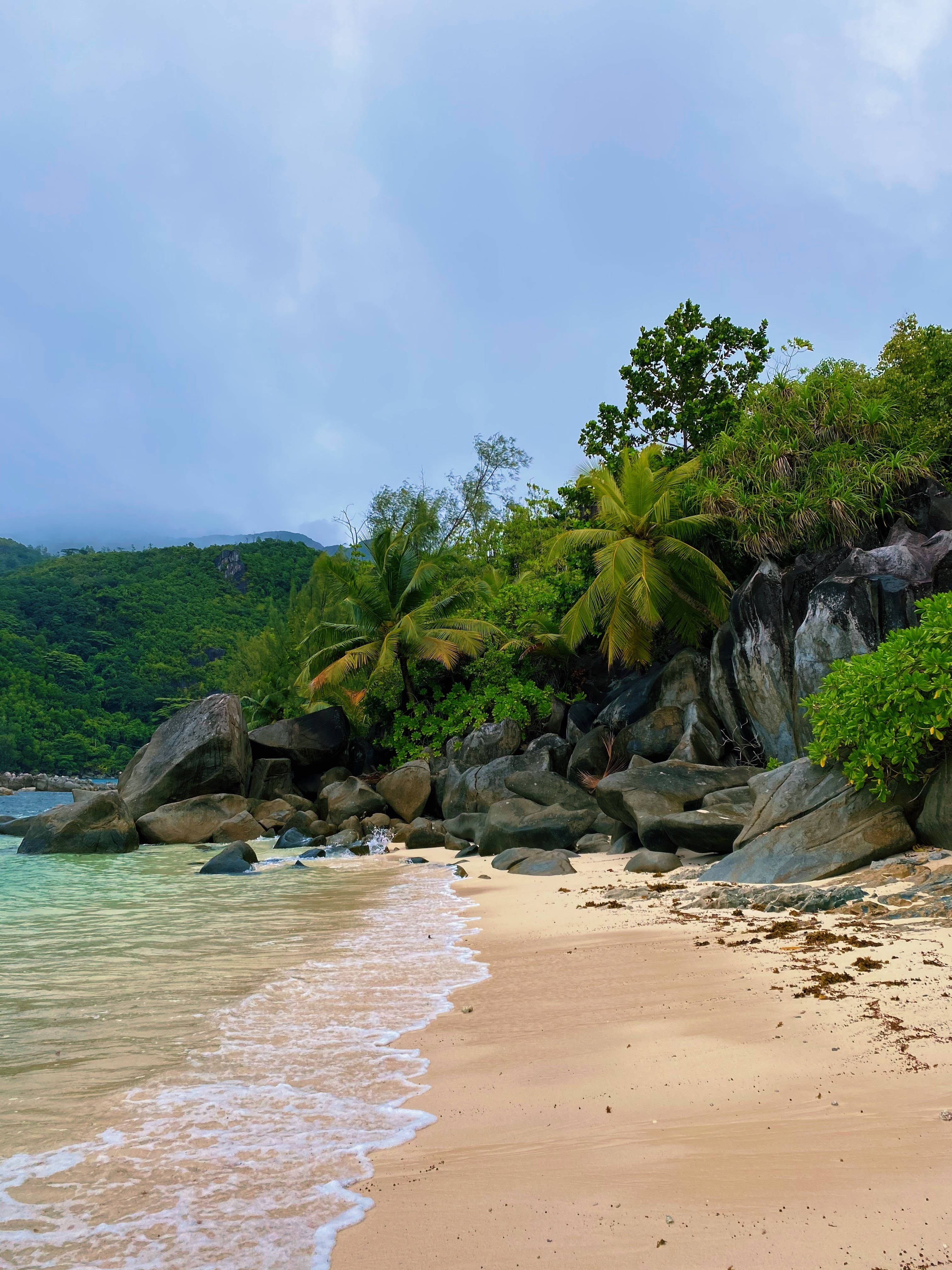 Seychelles 桌布 壁紙 — 熱帶海灘，碧綠的海水輕拍金色沙灘，旁邊是鬱鬱蔥蔥的綠色懸崖和棕櫚樹，天空柔和湛藍。
