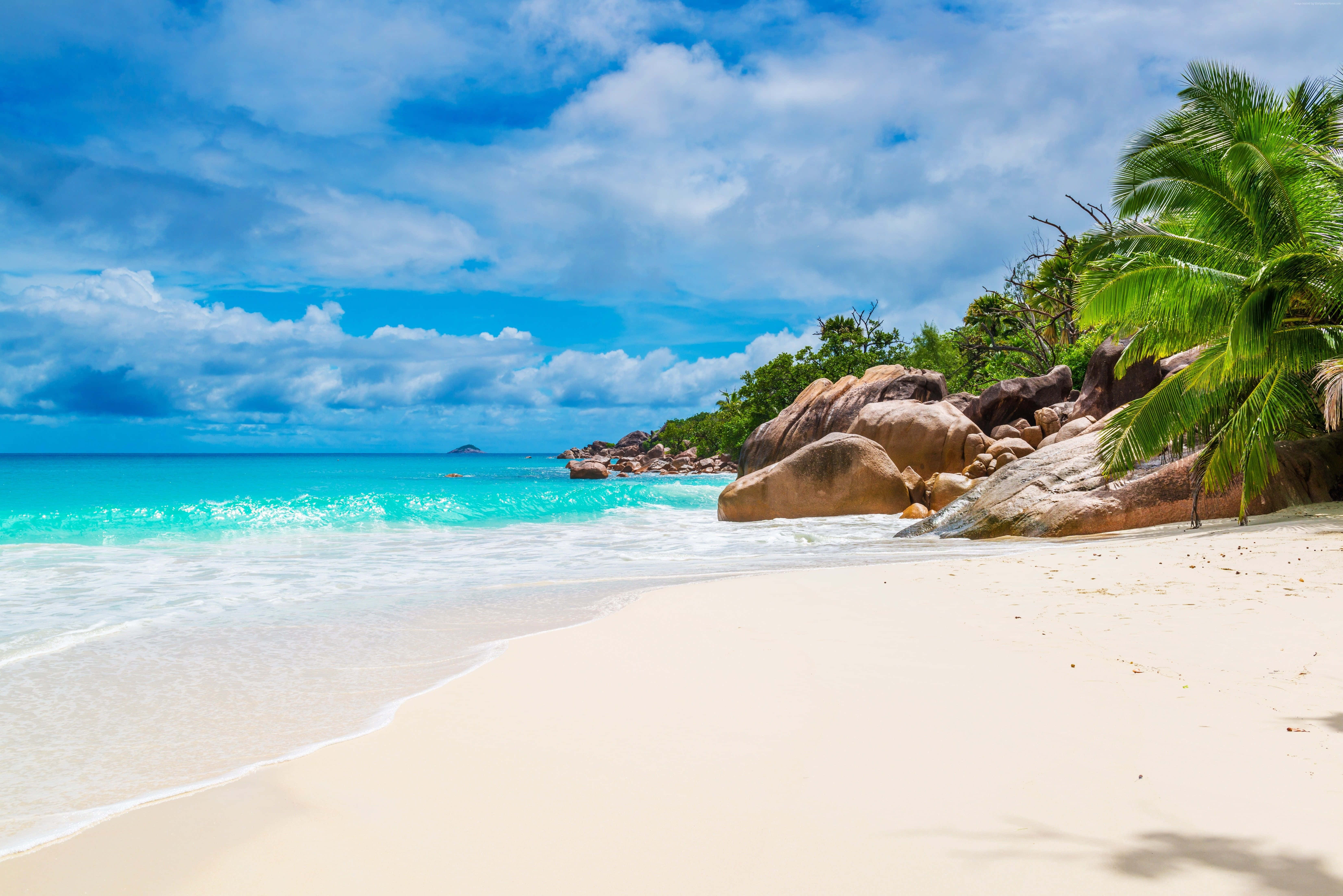 Seychelles Beach 桌布 壁紙 — 熱帶海灘，碧藍色的海浪拍打著白色沙灘，旁邊有巨大的岩石和茂密的棕櫚樹，天空湛藍明亮。