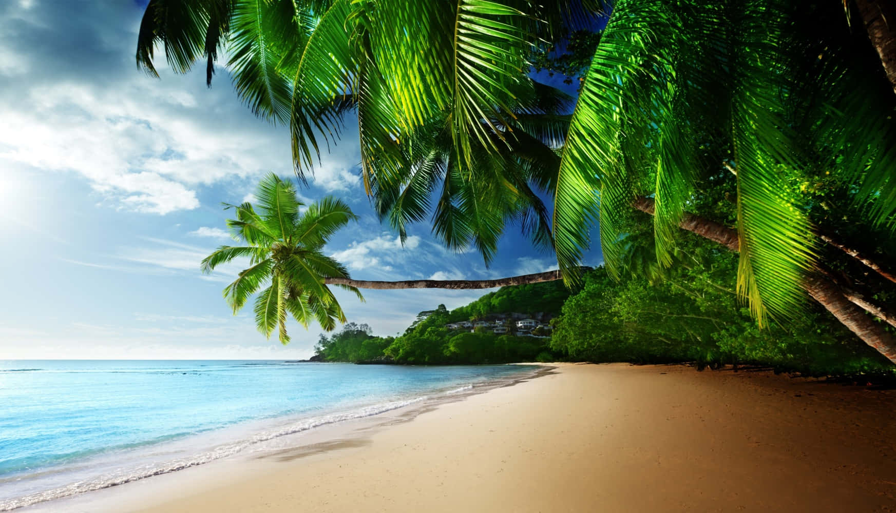 Tropical 桌布 壁紙 — 熱帶海灘，金色沙灘、碧綠海水、茂密綠色棕櫚樹在明亮藍天和零星白雲下搖曳。