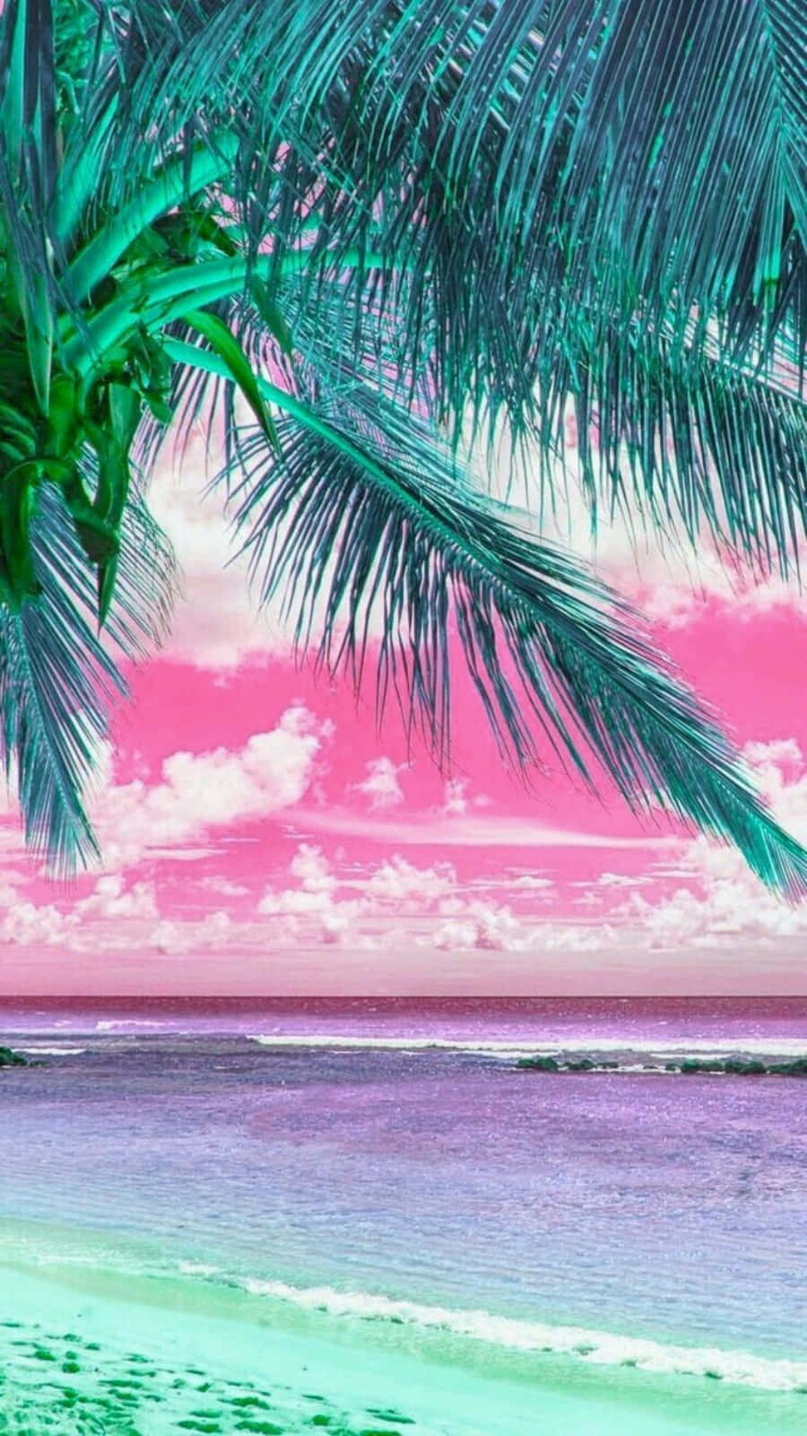 Cute Beach 桌布 壁紙 — 熱帶海灘上，充滿活力的粉紅色天空和藍綠色海洋被茂密的綠色棕櫚葉框住。