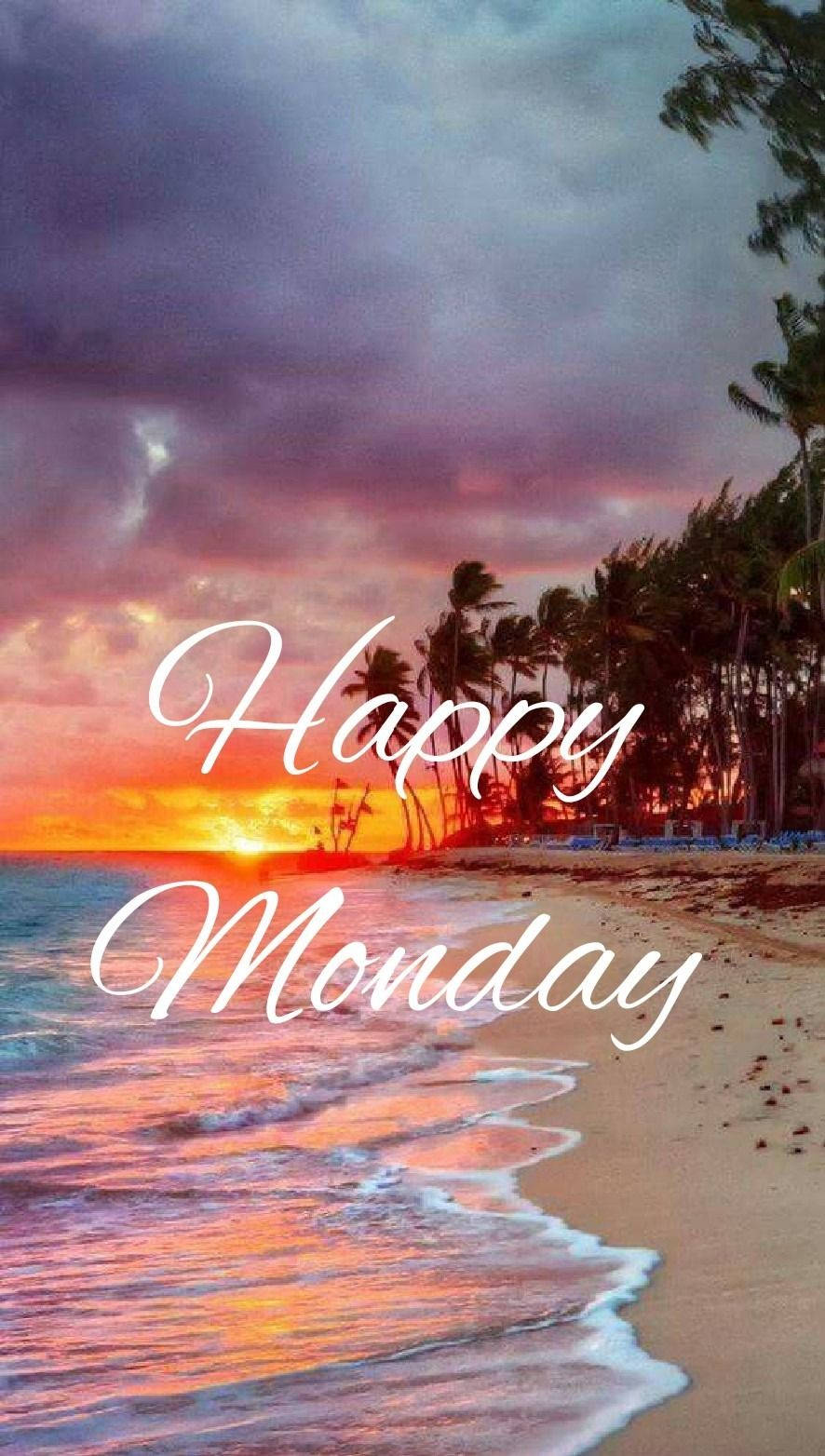 Happy Monday 桌布 壁紙 — 熱帶海灘上充滿活力的日落，棕櫚樹和溫柔的海浪反射出火熱的橙色和紫色色調。