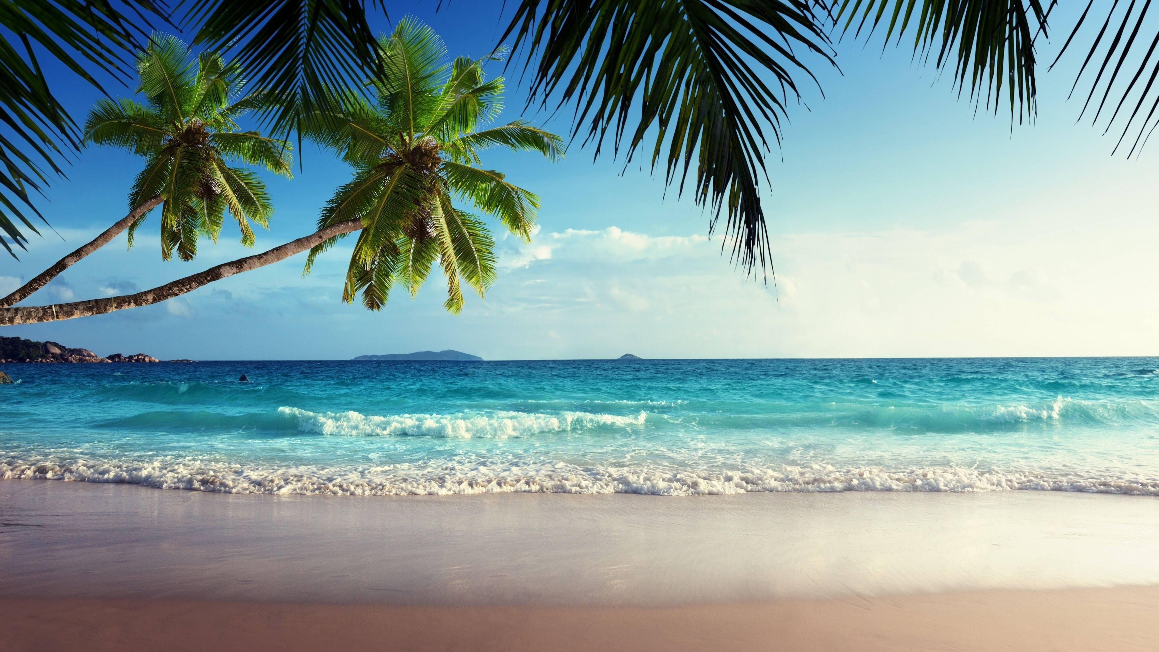 Seychelles 桌布 壁紙 — 熱帶海灘場景，在棕櫚葉下，碧綠色的海浪拍打著粉紅色的沙灘，背景是清澈的藍天。