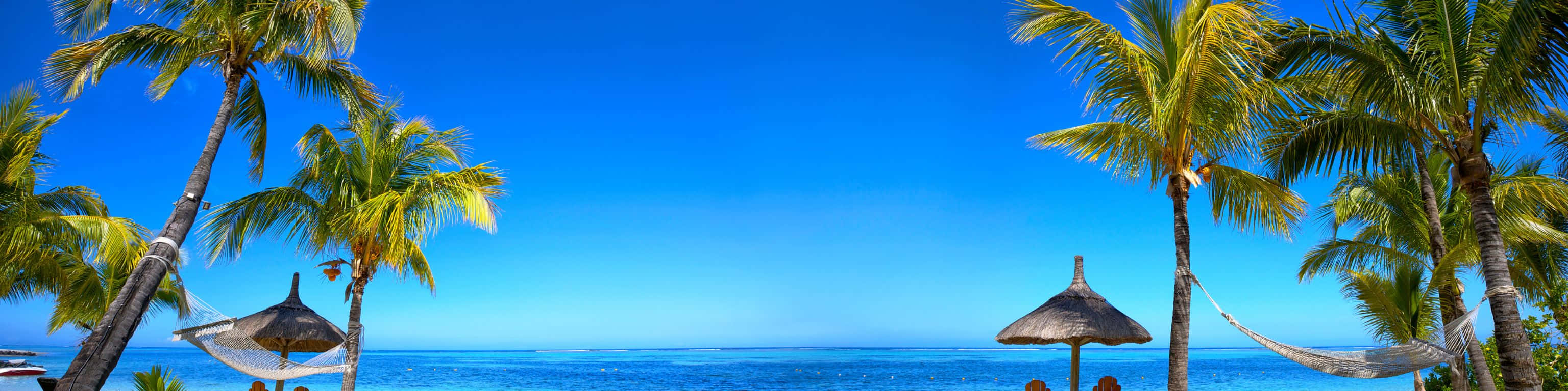 3072x768 桌布 壁紙 — 熱帶海灘場景，棕櫚樹、吊床和碧綠海洋，在清澈的藍天下。