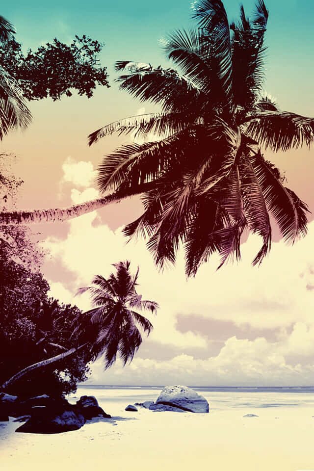 Palm Tree iPhone 桌布 壁紙 — 熱帶海灘場景，棕櫚樹在白色沙灘上搖曳，天空柔和雲彩呈現粉彩色調。