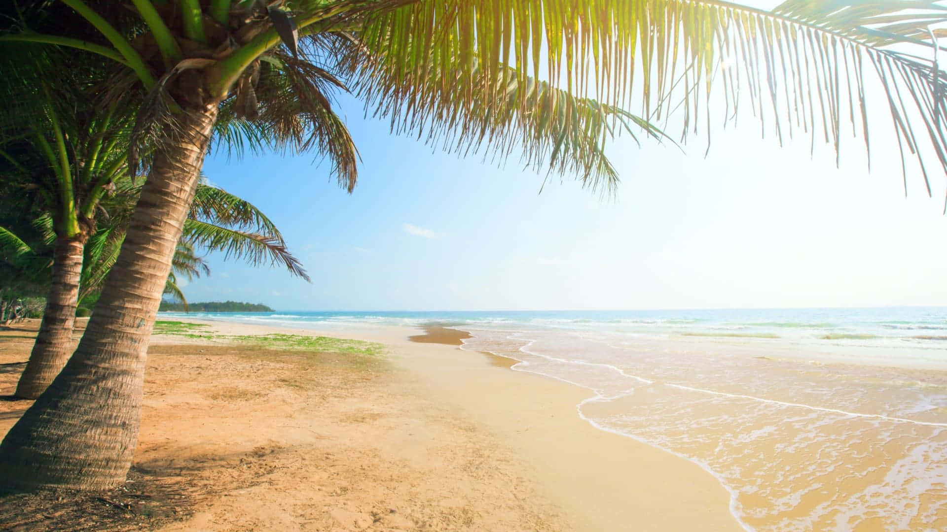 1920x1080 HD Beach 桌布 壁紙 — 熱帶海灘場景，棕櫚樹在金色沙灘上搖曳，溫柔的海浪在明亮的藍天下翻滾。