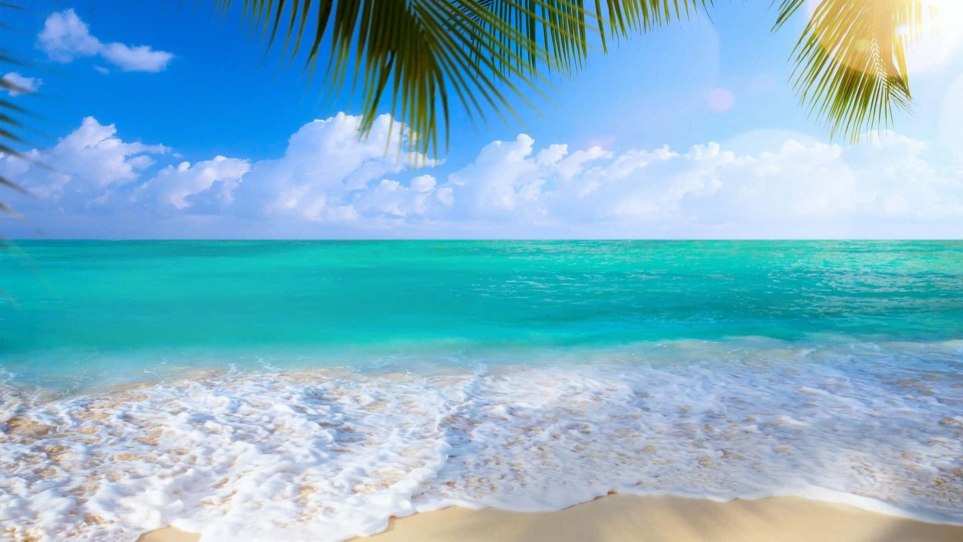 桌布 壁紙 — 熱帶海灘場景，碧綠的海浪拍打金色沙灘，棕櫚葉框住明亮的藍天。