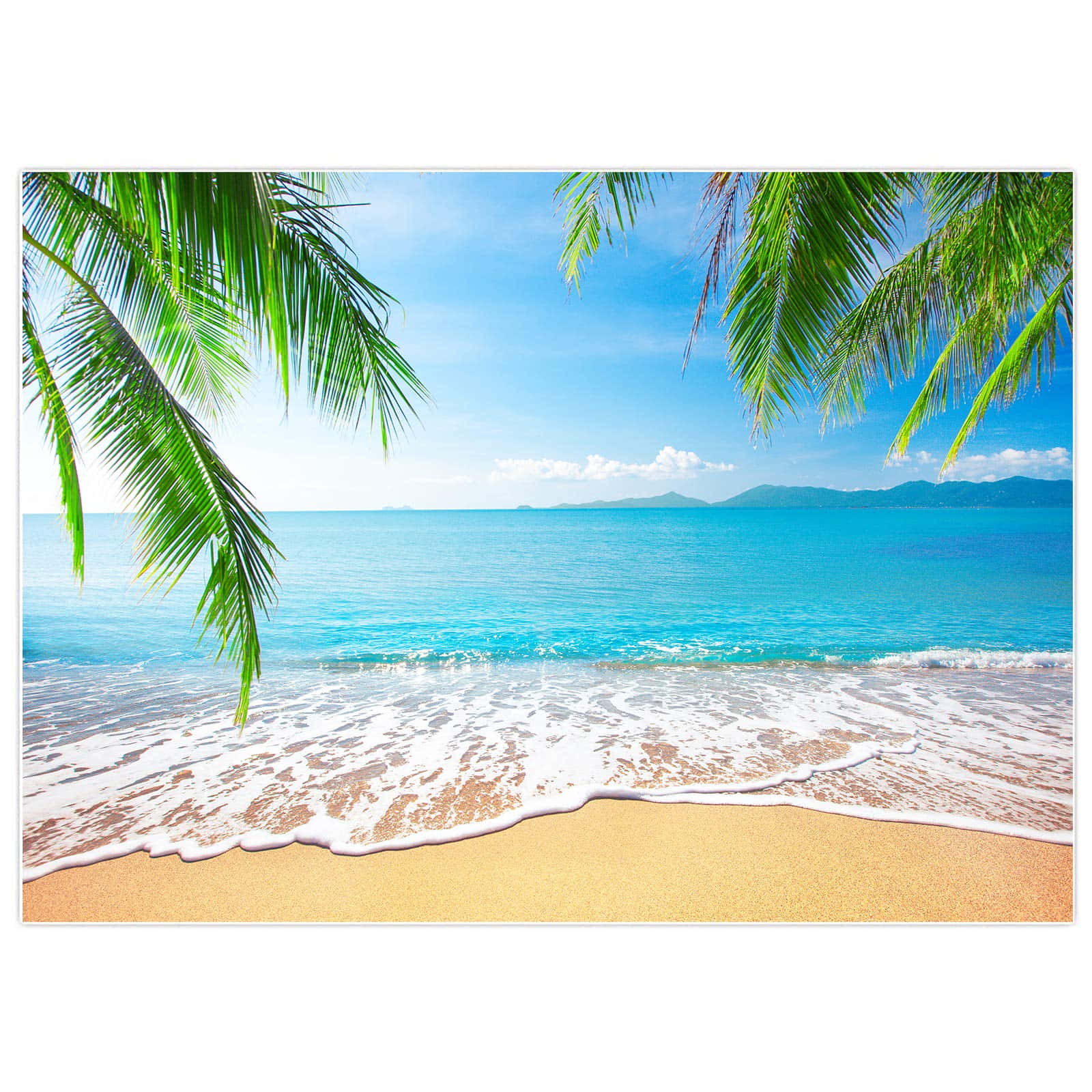 Palm Leaves 桌布 壁紙 — 熱帶海灘場景，被茂密的綠色棕櫚葉框住，碧綠的海浪拍打著金色沙灘，天空清澈湛藍。
