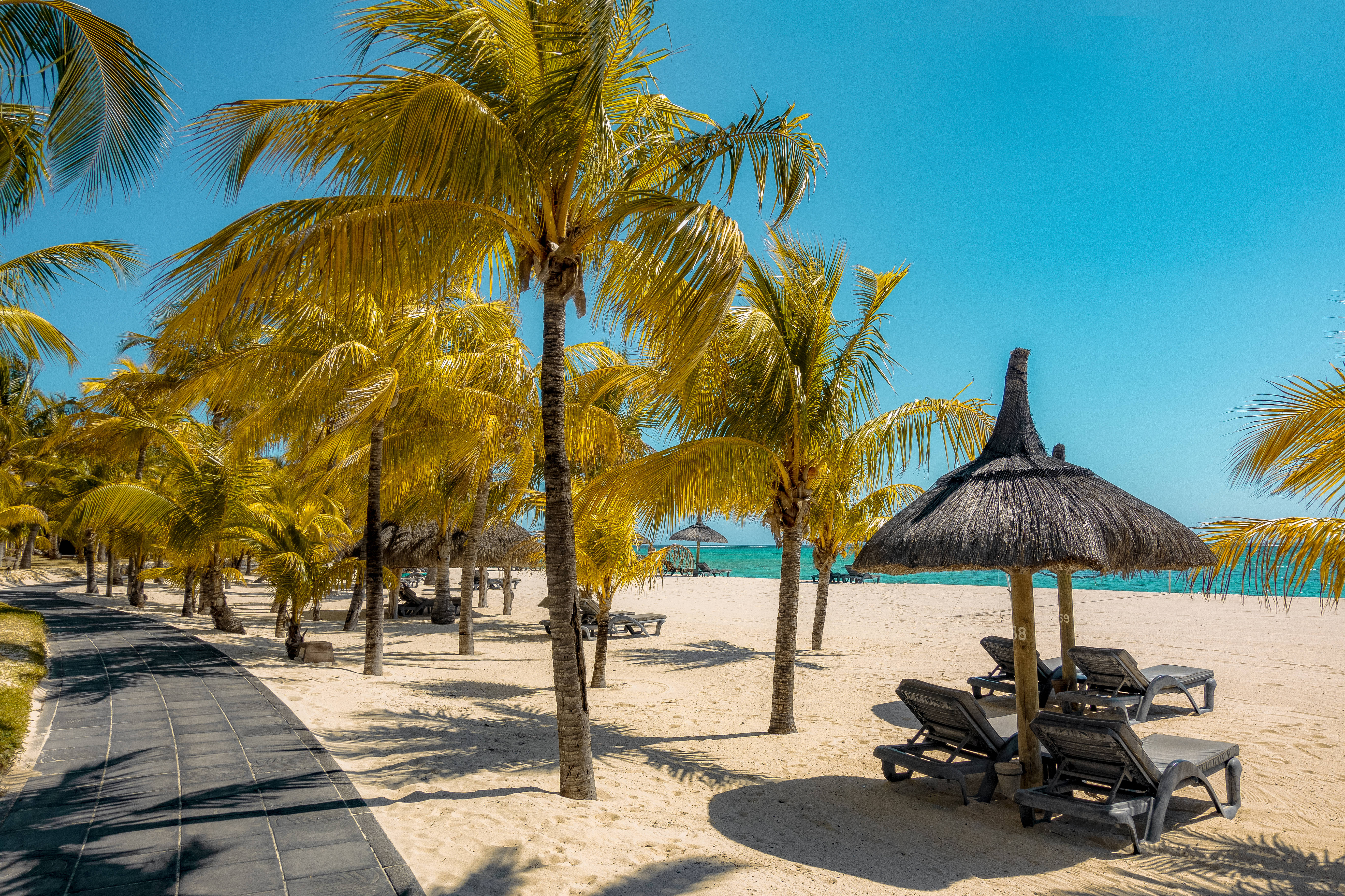 Mauritius 桌布 壁紙 — 熱帶海灘場景，金色棕櫚樹在明亮的藍天下搖曳，茅草傘為白色沙灘上的躺椅遮蔭。