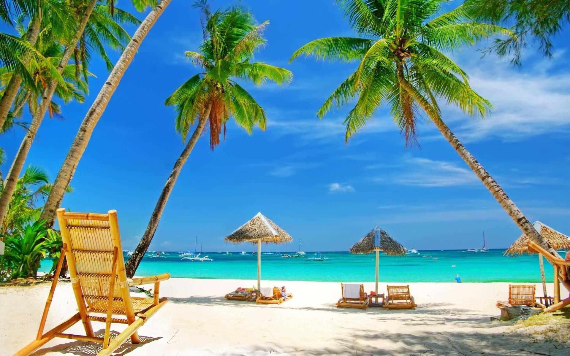 Beach Resort 桌布 壁紙 — 熱帶海灘天堂，棕櫚樹在白色沙灘和碧綠海水上搖曳，頭頂是明亮的藍天。