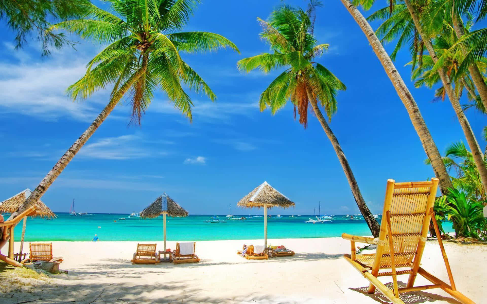 Beach Desktop 桌布 壁紙 — 熱帶海灘天堂，棕櫚樹在白色沙灘和碧綠海水上搖曳，天空湛藍明亮。