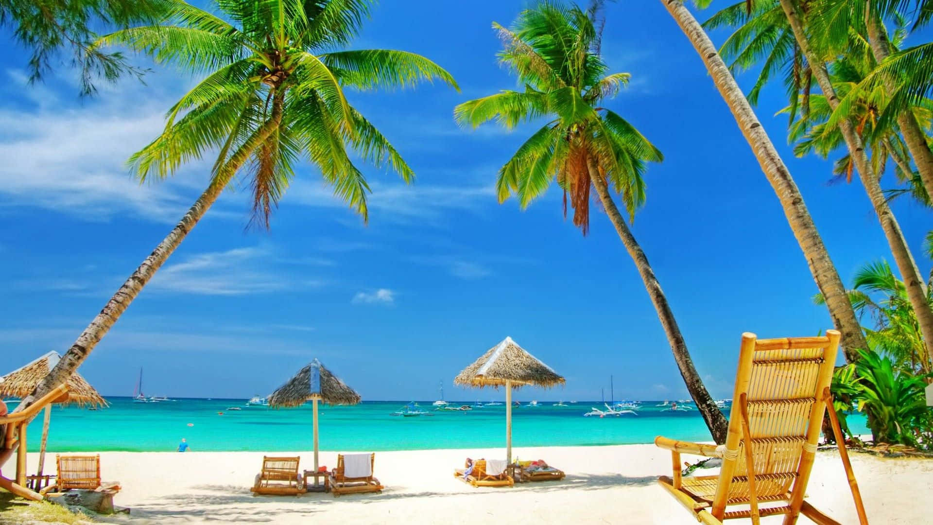 Tropical Island 桌布 壁紙 — 熱帶海灘天堂，棕櫚樹在白色沙灘和碧綠海水上搖曳，頭頂是明亮的藍天。
