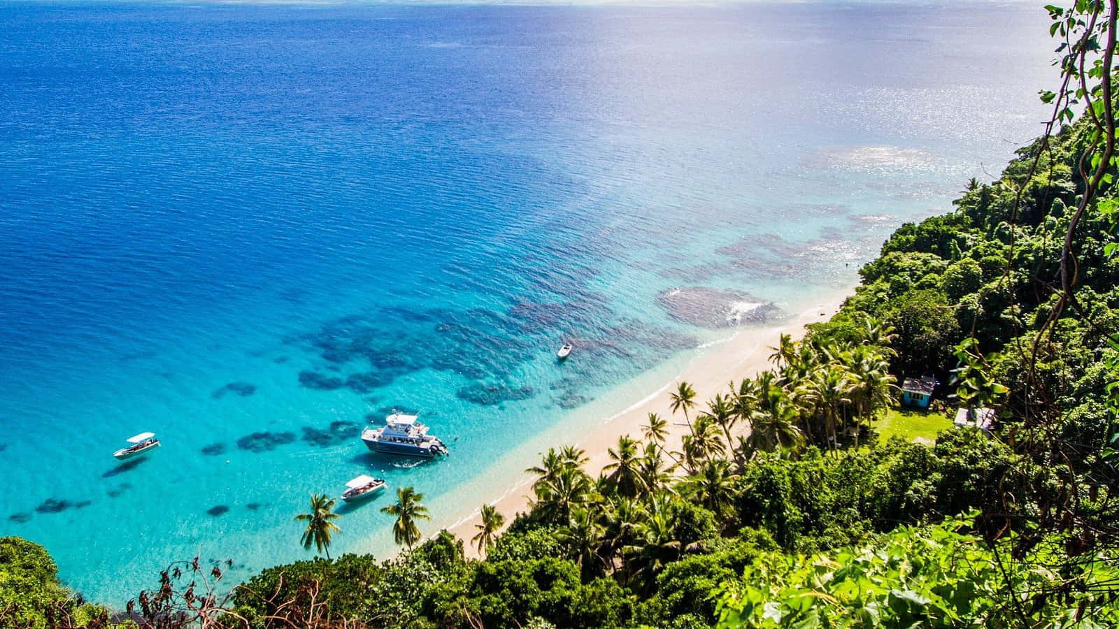 Fiji Beach 桌布 壁紙 — 熱帶海灘的鳥瞰圖，有碧綠的海水、棕櫚樹和停泊在岸邊的船隻。