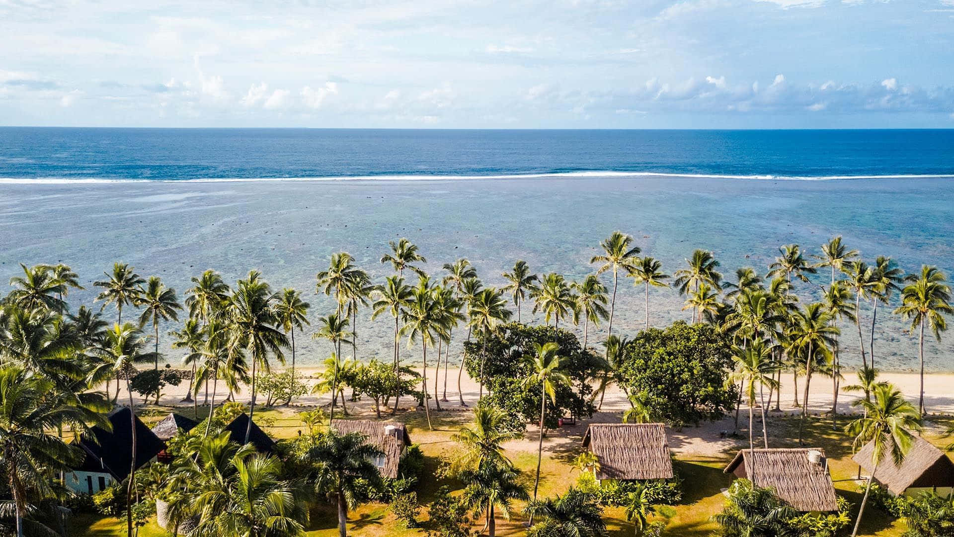 Fiji Beach 桌布 壁紙 — 熱帶海灘的鳥瞰圖，棕櫚樹和茅草屋頂小屋坐落在碧綠海水和沙灘之間。
