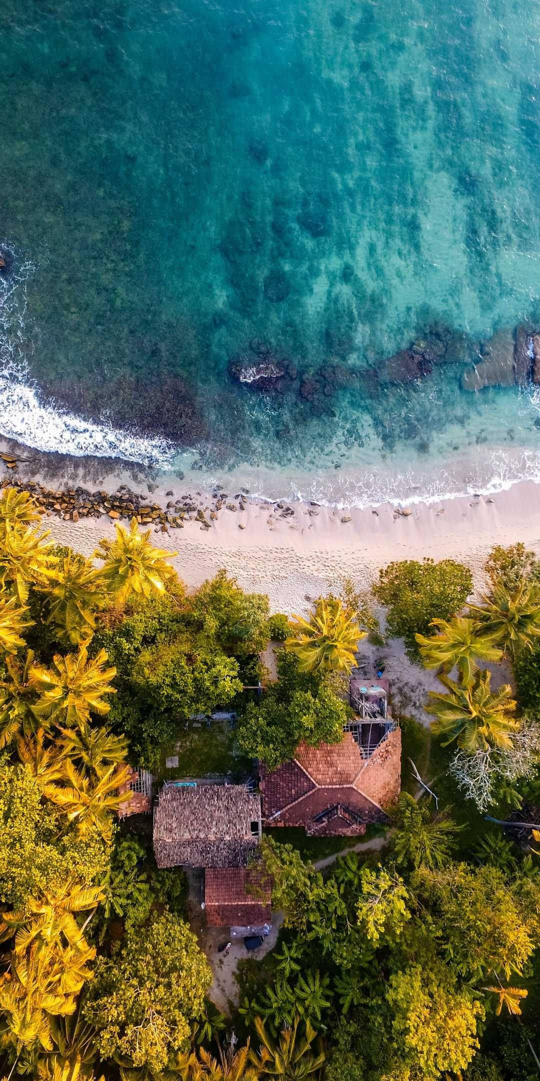Beach House 桌布 壁紙 — 熱帶海灘的鳥瞰圖，碧綠的海水拍打著白色沙灘，沙灘上長滿茂密的棕櫚樹和質樸的茅草屋頂小屋。