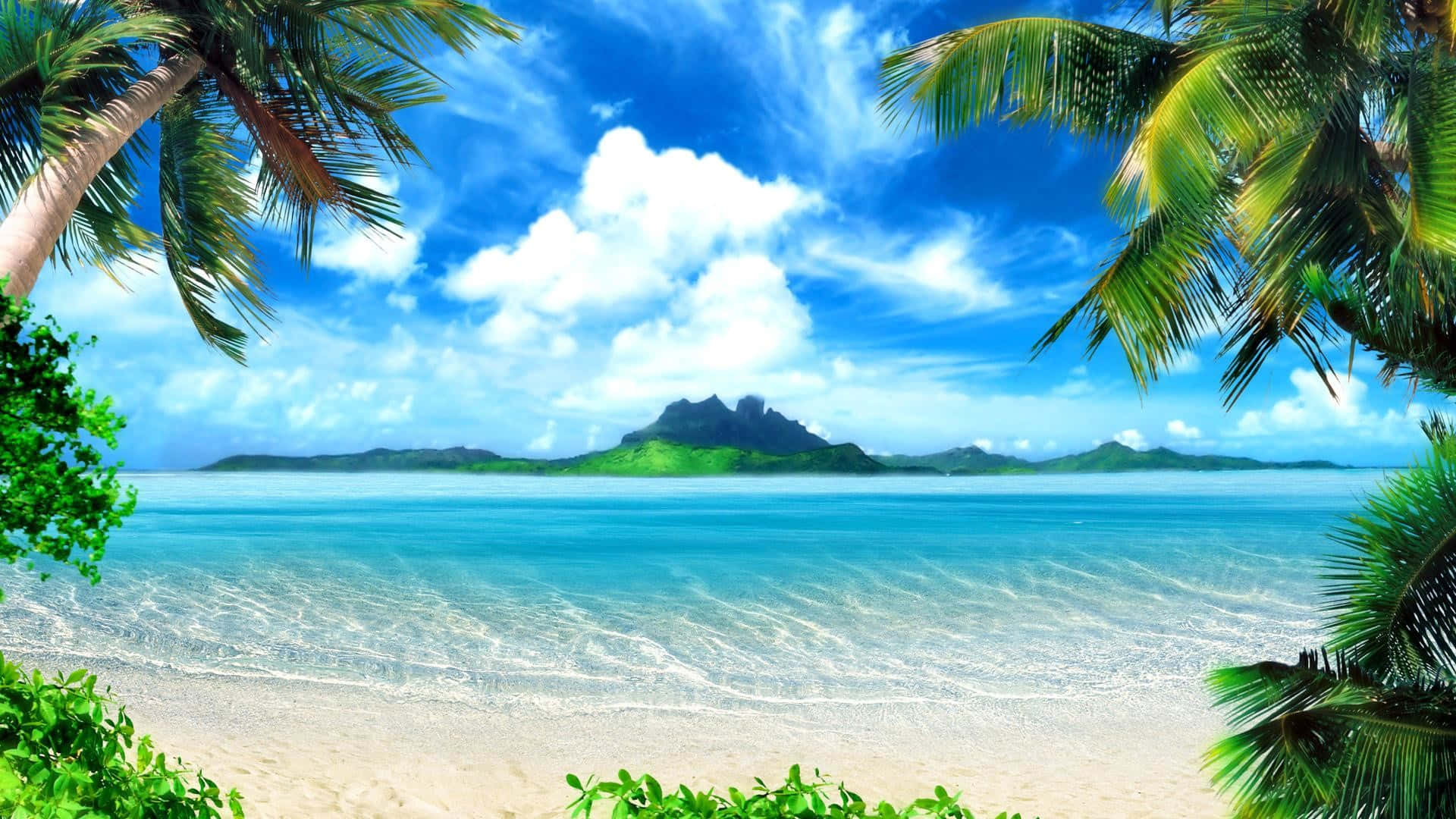 Palm Trees Beach 桌布 壁紙 — 熱帶海灘被棕櫚葉框住，碧綠海水和茂密綠色島嶼在明亮藍天下。