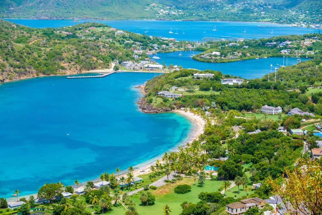 Caribbean Island 桌布 壁紙 — 熱帶海灣的鳥瞰圖，碧綠的海水蜿蜒環繞著點綴著房屋和棕櫚樹的蒼翠山丘。