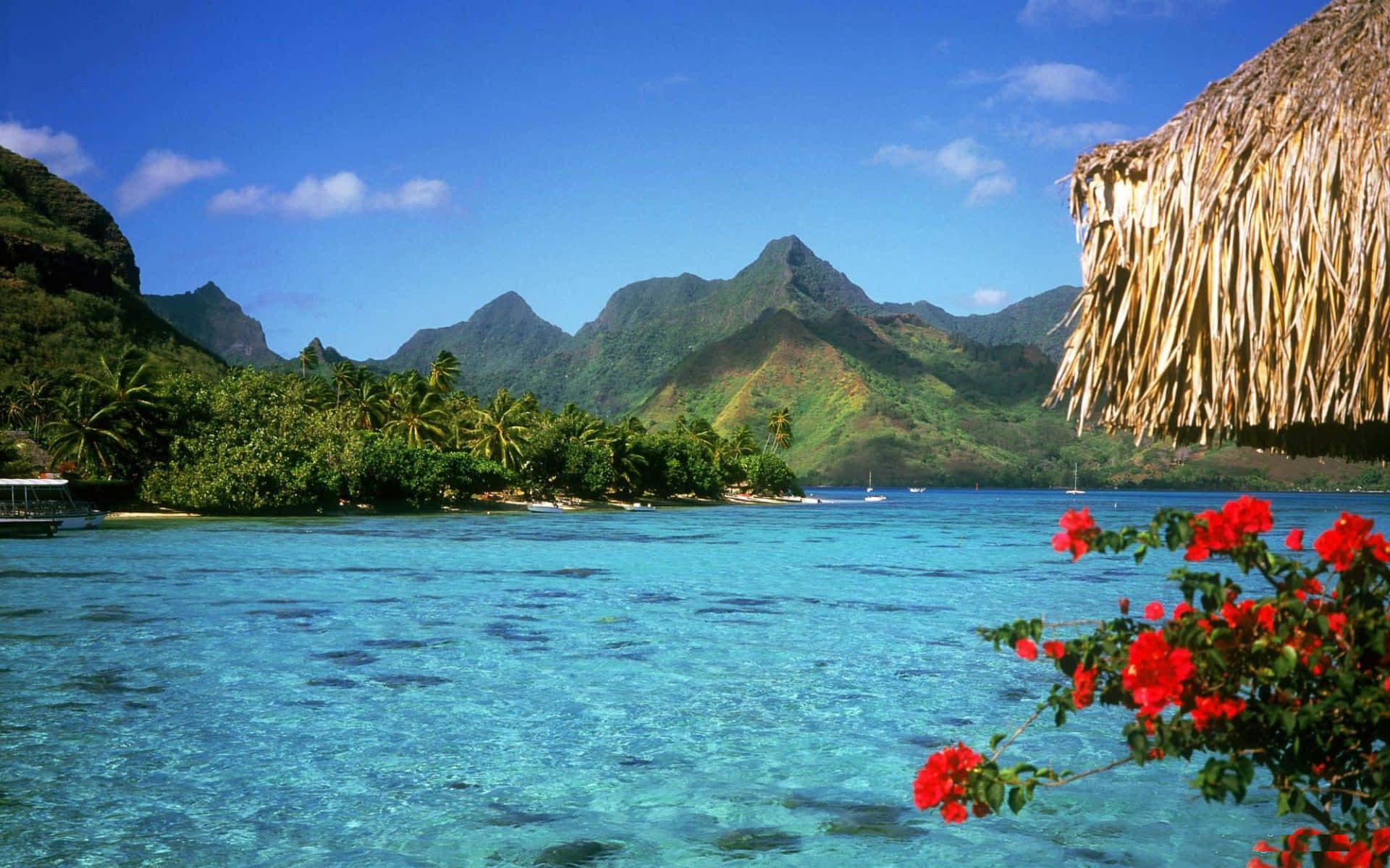 Bahamas Beach 桌布 壁紙 — 熱帶潟湖，碧綠海水被翠綠山巒環繞，前景有茅草屋頂和紅色花朵。