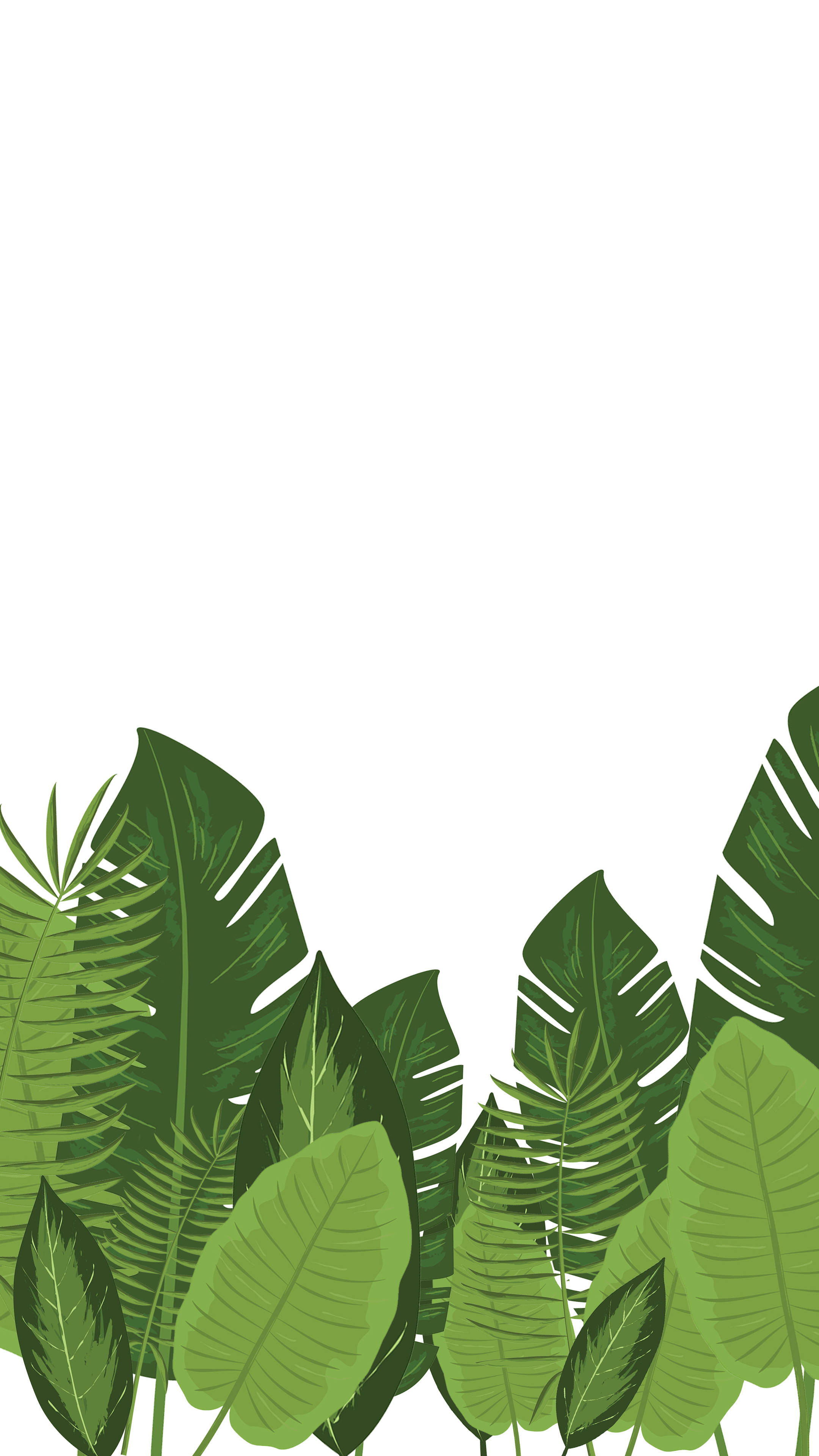 Plant Aesthetic 桌布 壁紙 — 熱帶綠色葉片在風格化插圖中框住純白背景的底部。