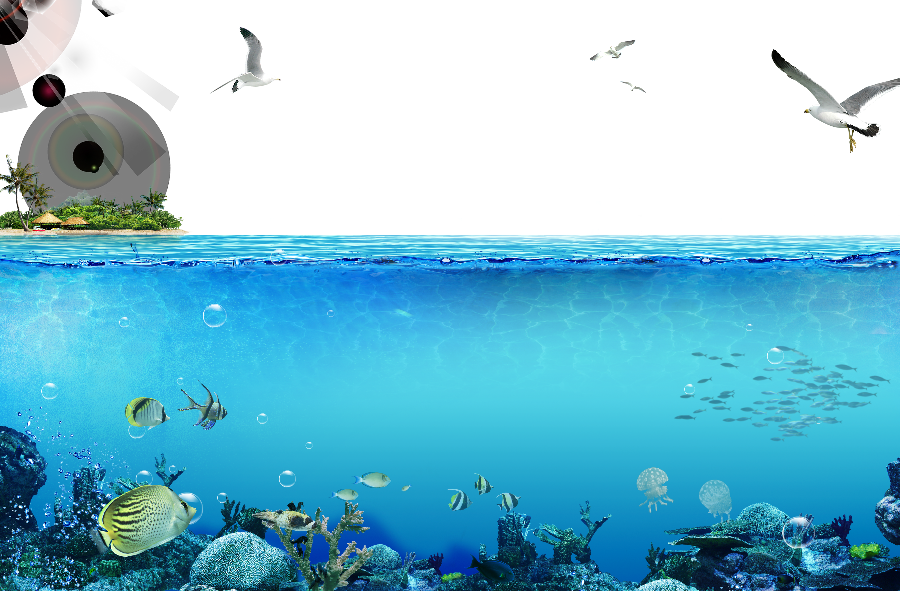 水下動畫 桌布 壁紙 — 熱帶魚群聚的 vibrant 珊瑚礁水下景觀，與熱帶島嶼上空黑暗天空中翱翔的海鷗的分割視圖。