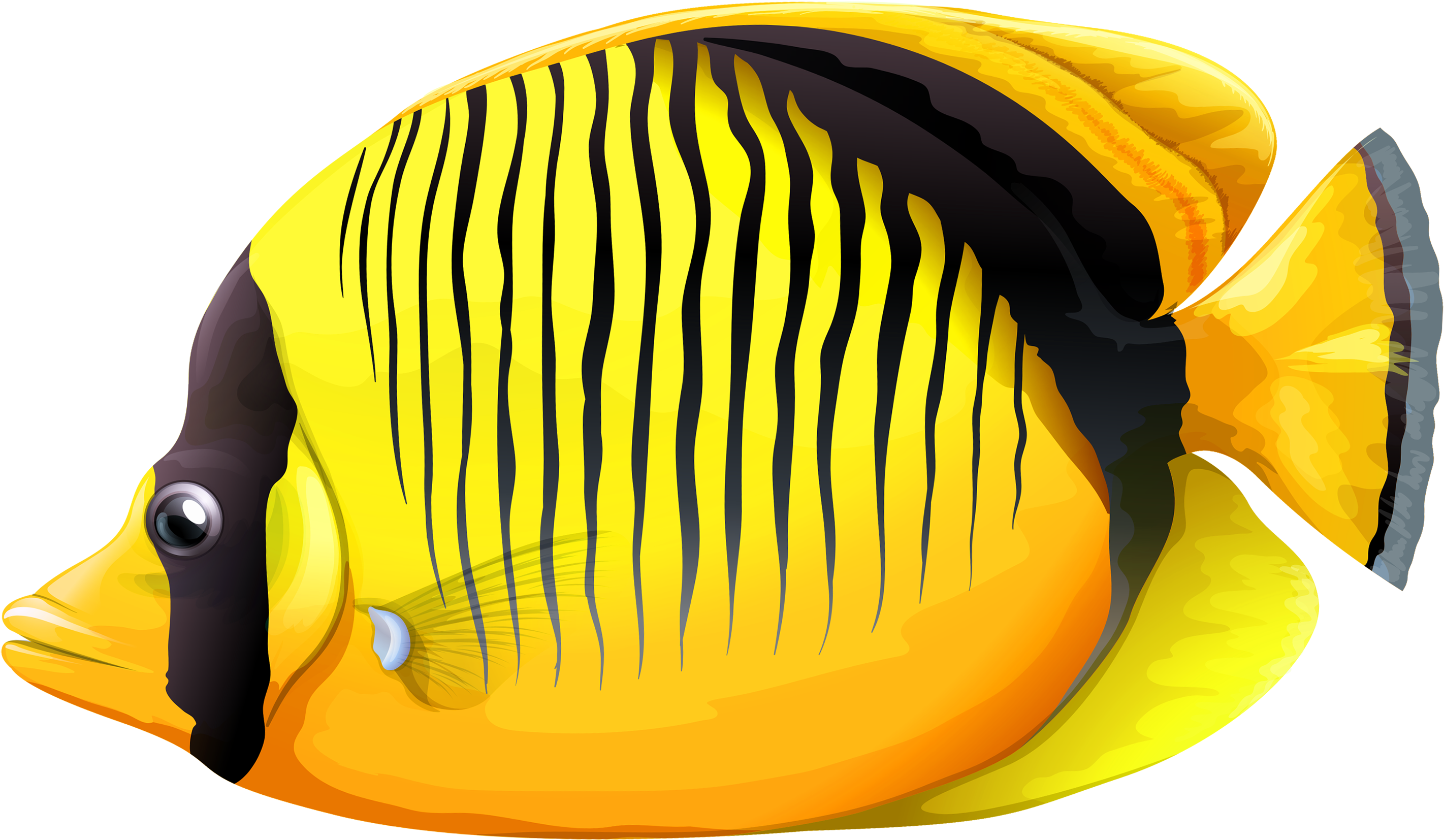 熱帶黃黑條紋魚 壁紙