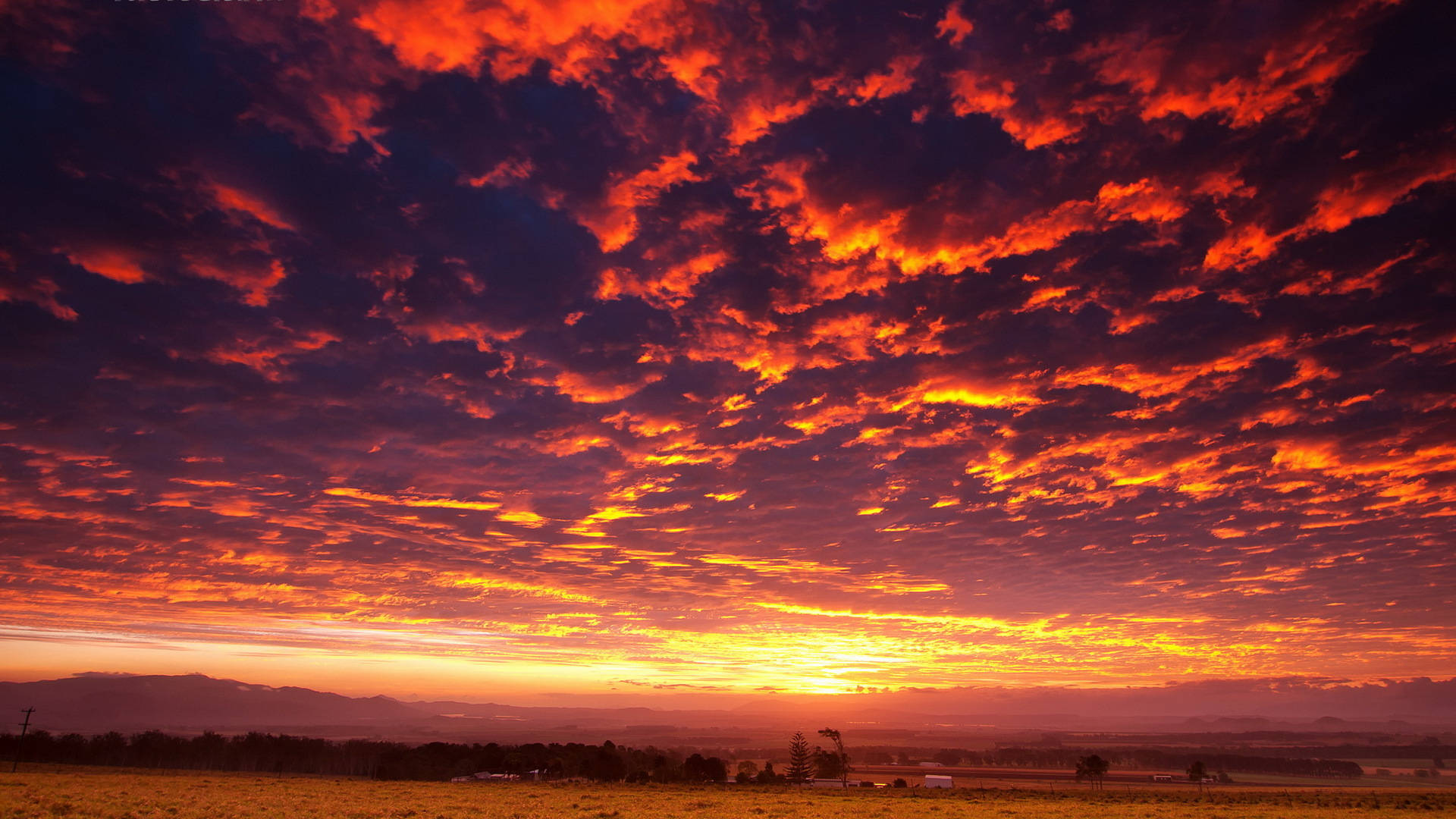 夕陽天空 桌布 壁紙 — 熾熱的夕陽在寧靜的鄉村景觀上空，以鮮豔的橙色和紫色調繪製天空。