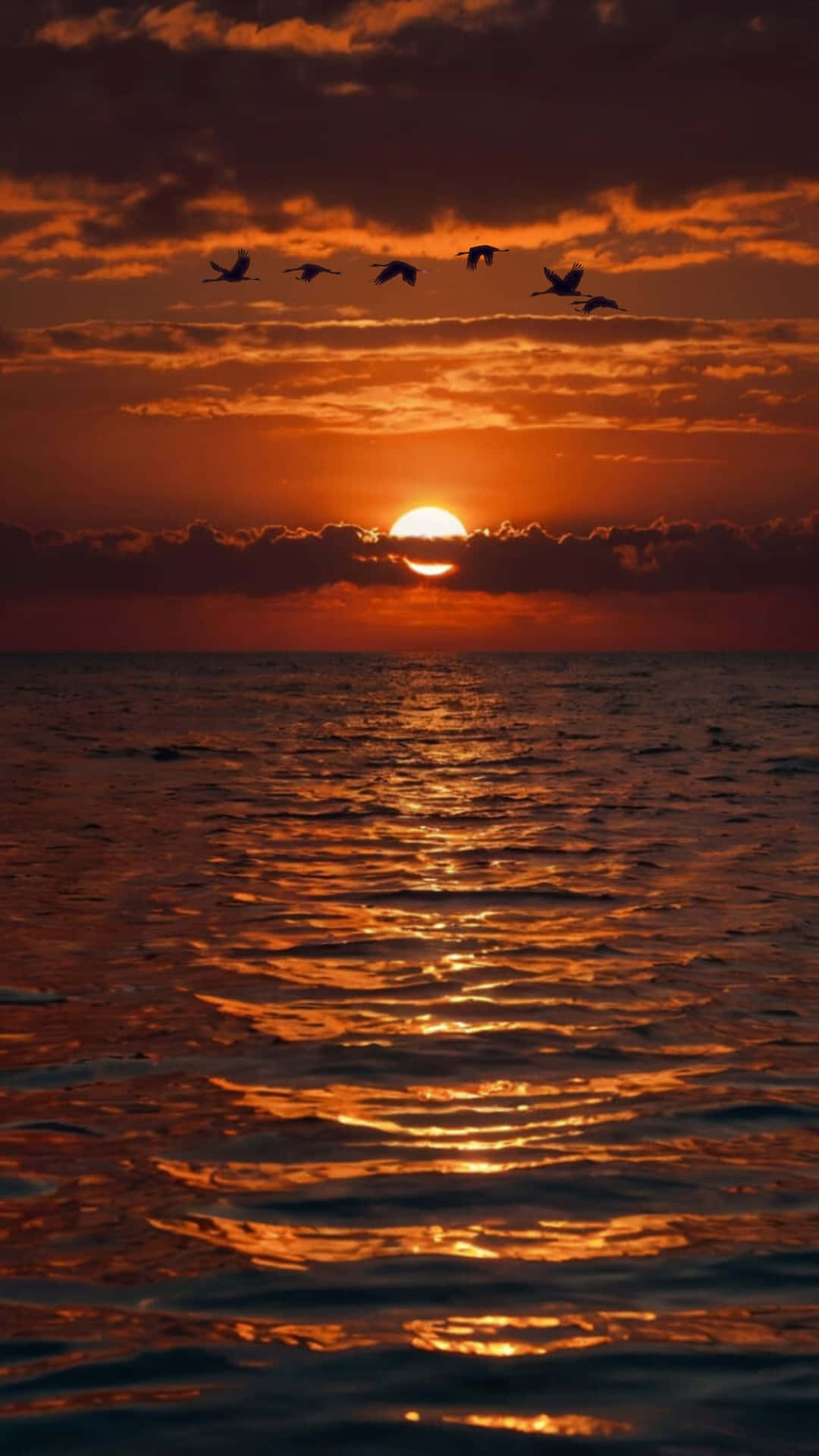 Golden Sunset Over Ocean With Flying Birds and Reflective Water Horizon Silhouette 壁紙 — 熾熱的夕陽在海面上閃耀，六隻鳥兒排成隊形飛過充滿活力的橙色天空。