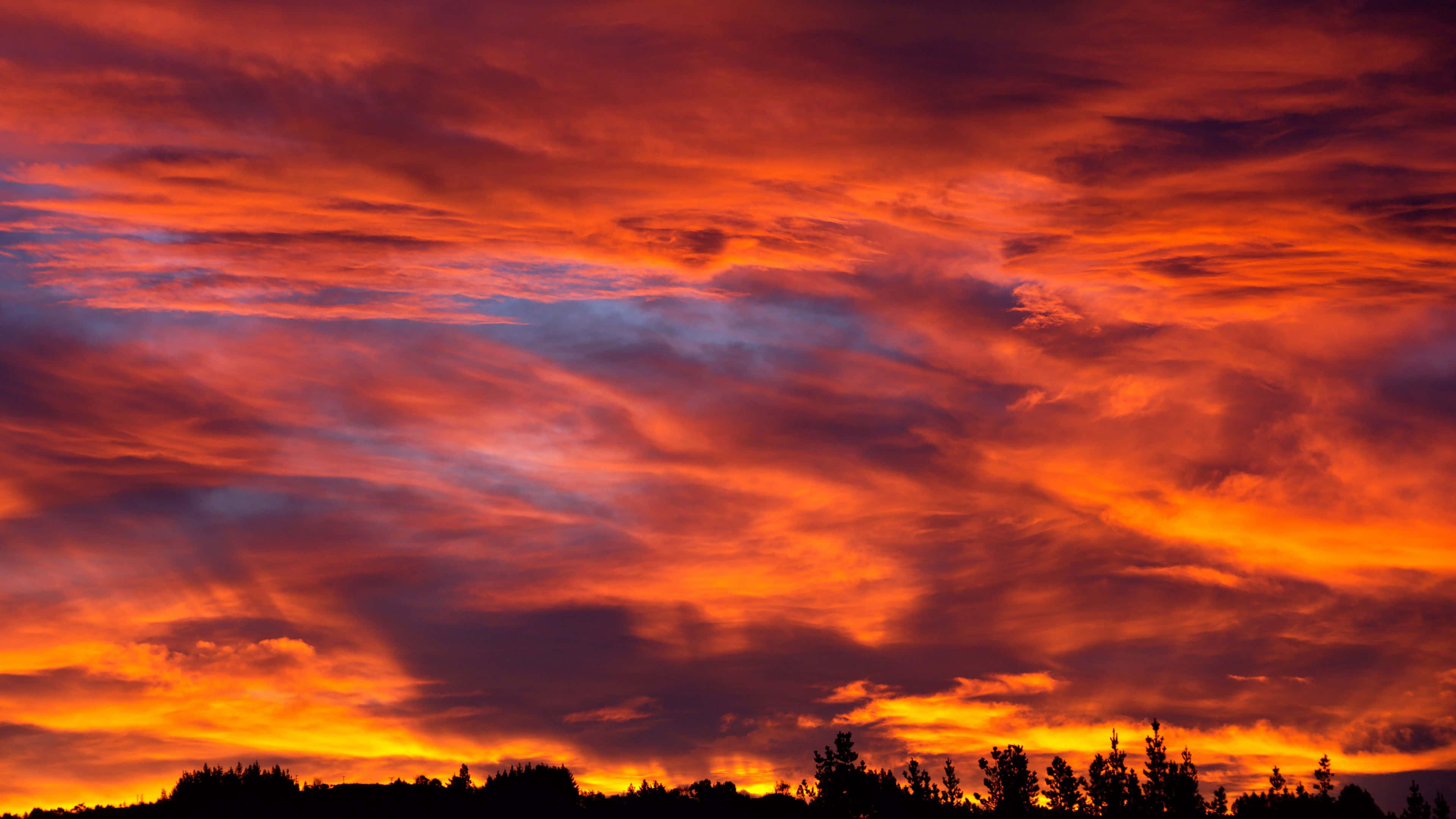 Colorful Sky 桌布 壁紙 — 熾熱的夕陽在黑暗的樹木剪影上方，用鮮豔的橙色、紅色和紫色調繪製天空。