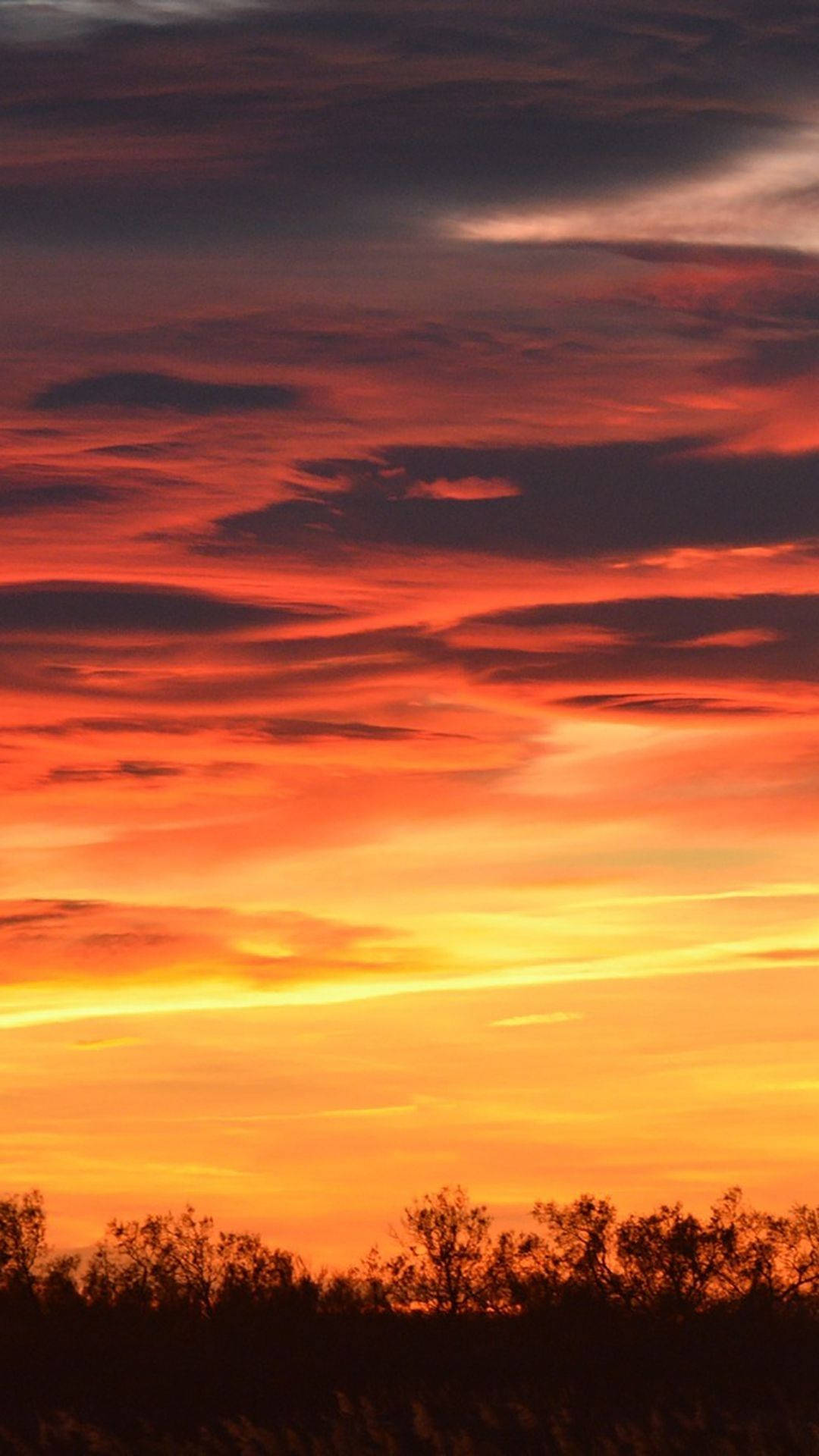 View 桌布 壁紙 — 熾熱的夕陽在黑暗的樹線上將天空塗成鮮豔的橙色、紅色和黃色色調。
